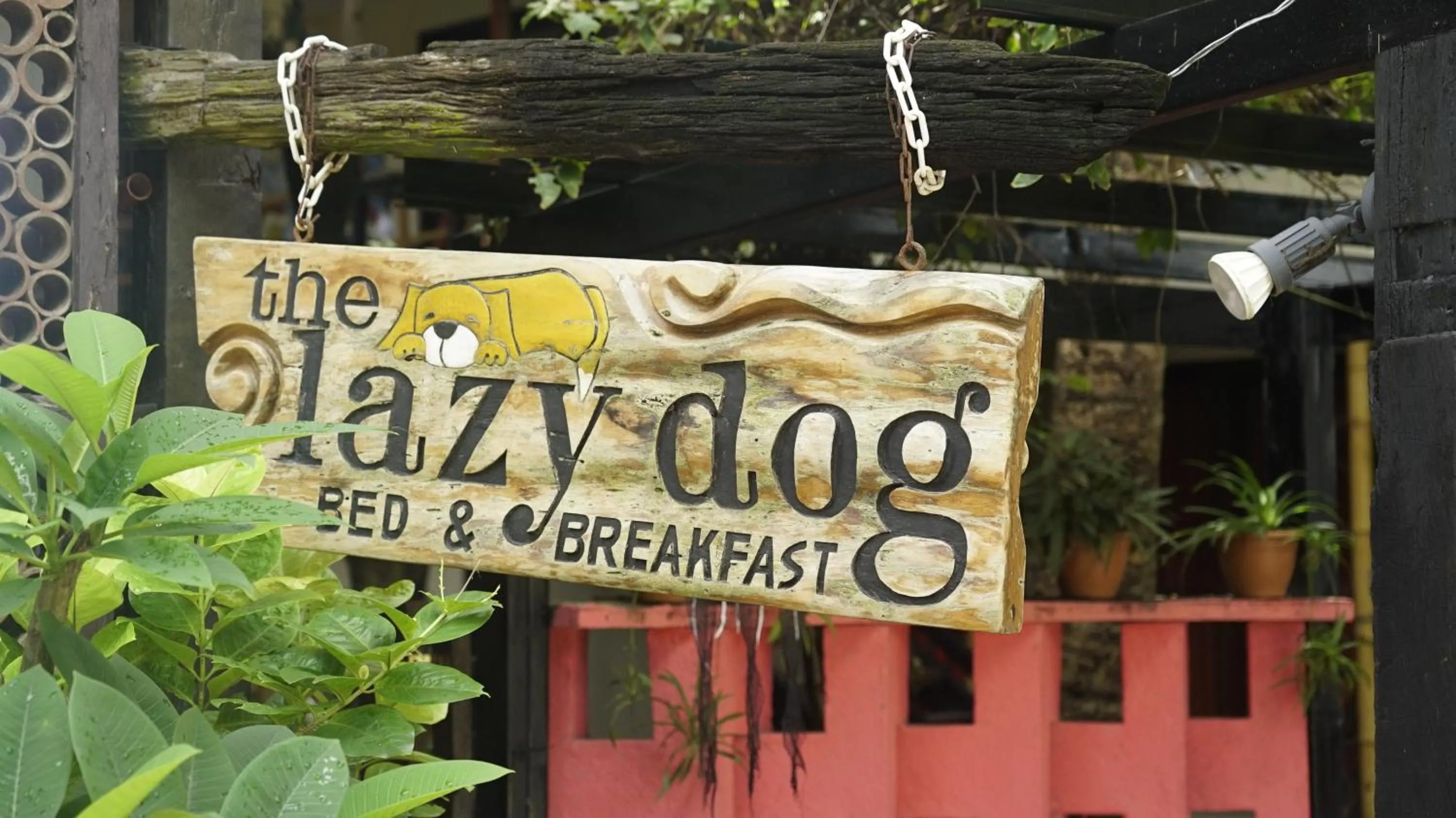 Facade/entrance in Lazy Dog Bed & Breakfast