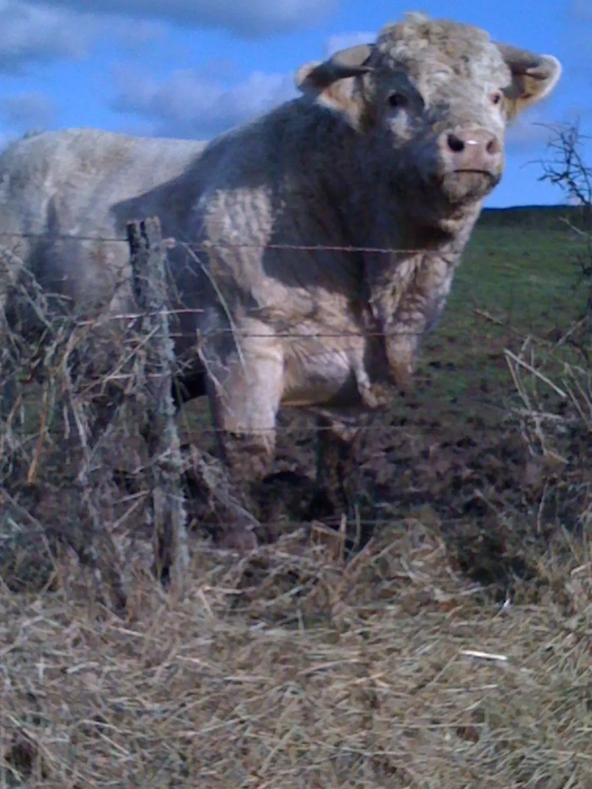 CHAMBRES D' HOTES LA LISON