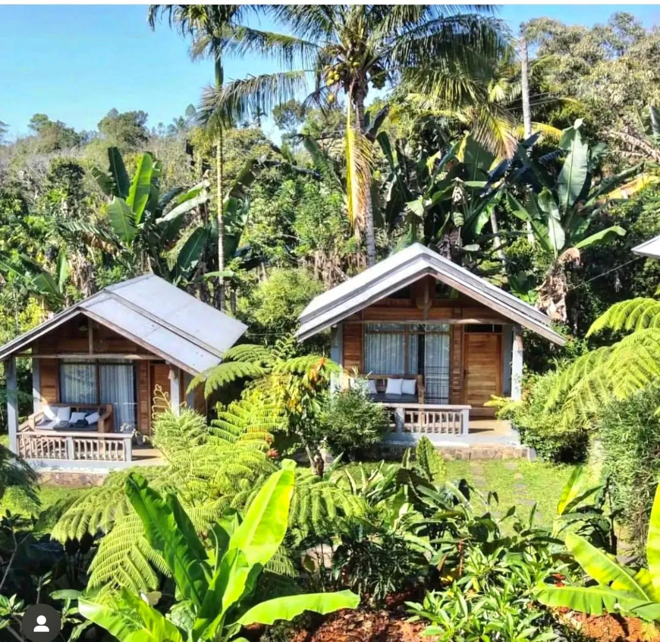 The Geckos Homestay