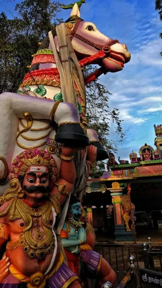 Chettinadu Court- HERITAGE VIEW