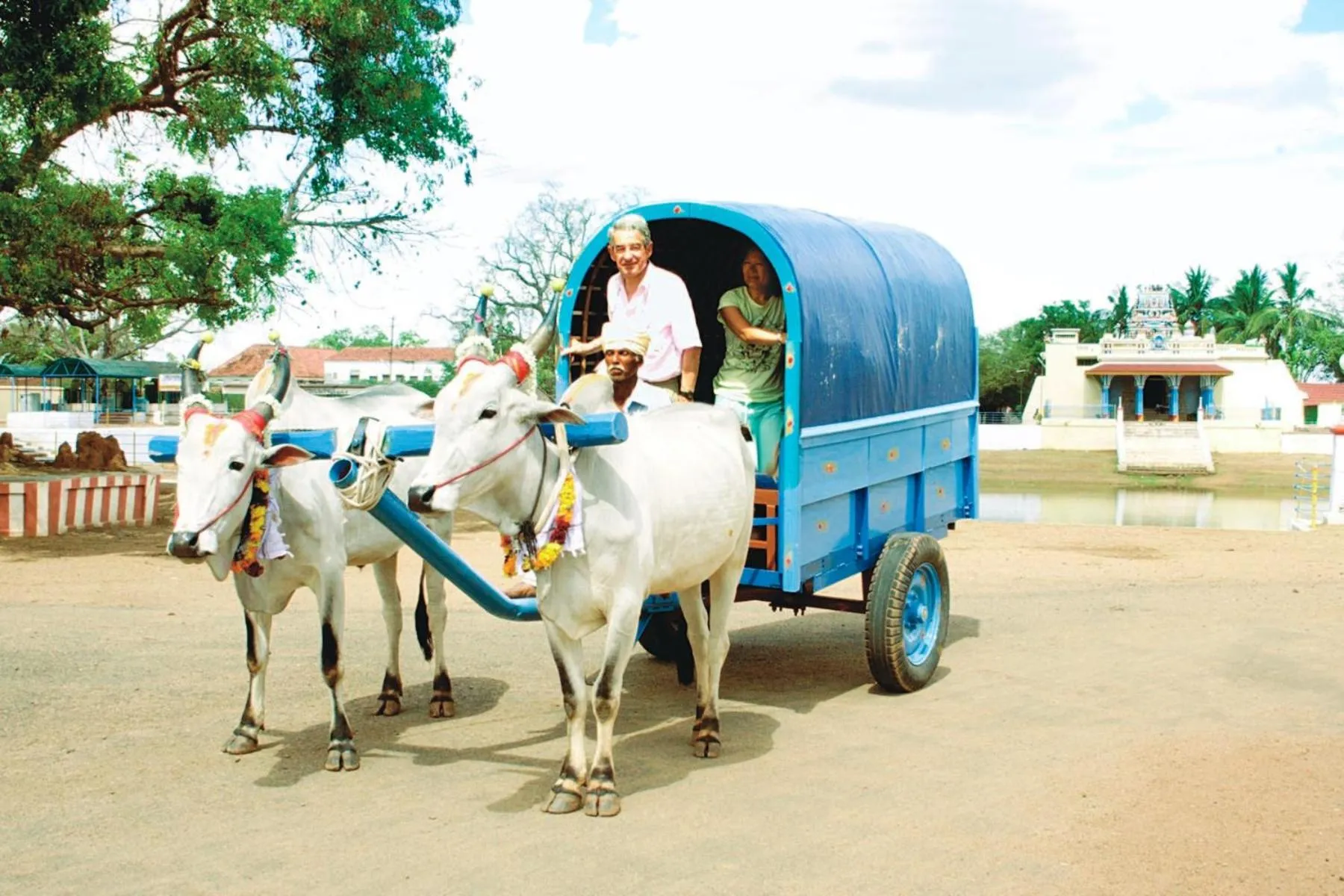 Day in Chettinadu Court- HERITAGE VIEW