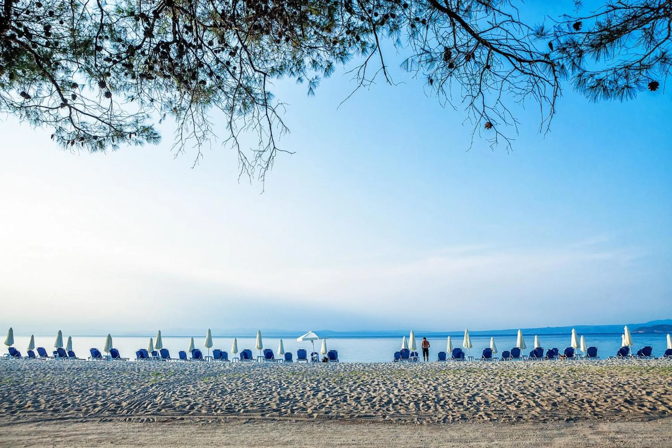 Area and facilities in Xenios Port Marina Hotel