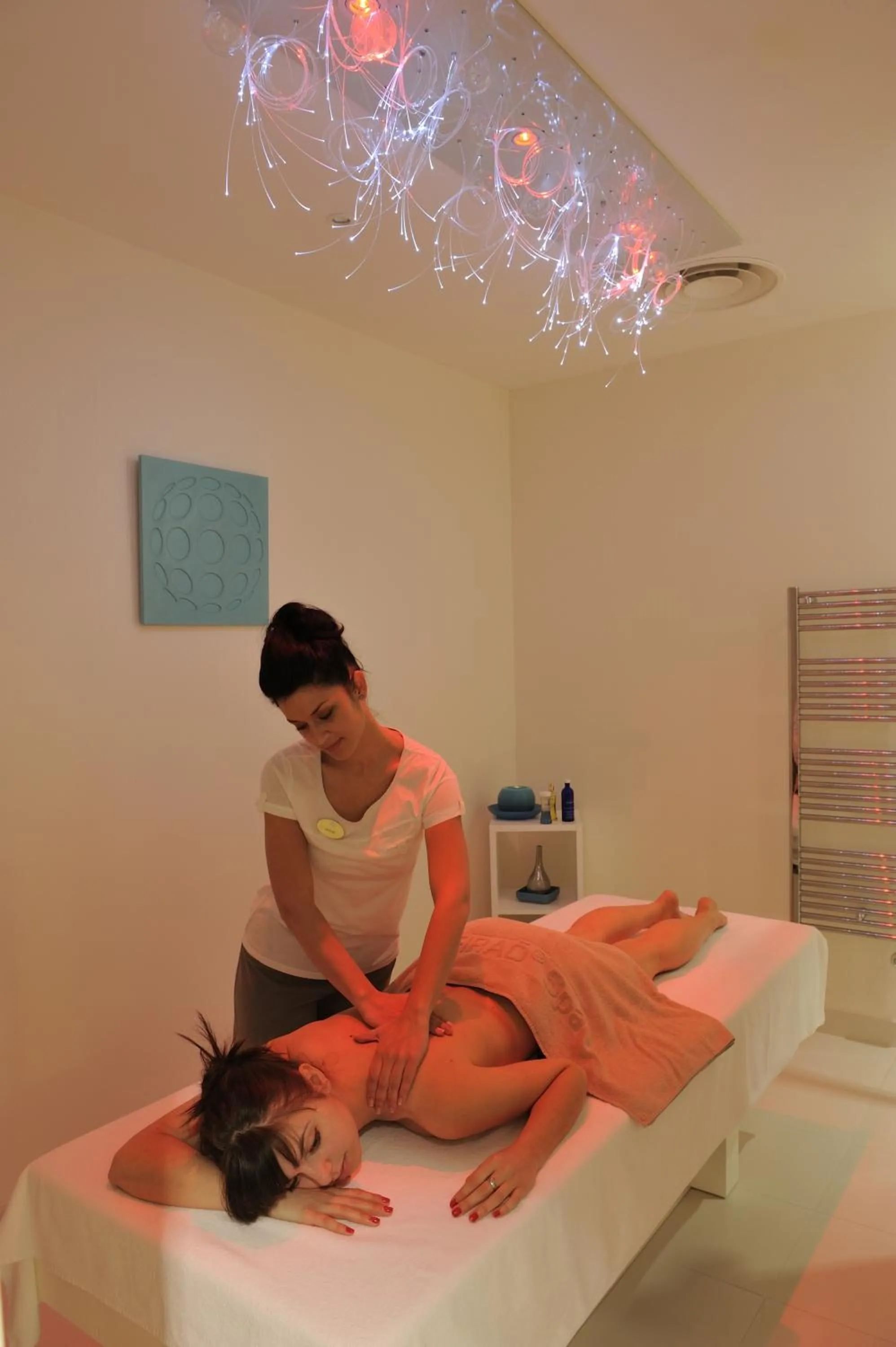 Spa and wellness centre/facilities in Novotel Avignon Centre