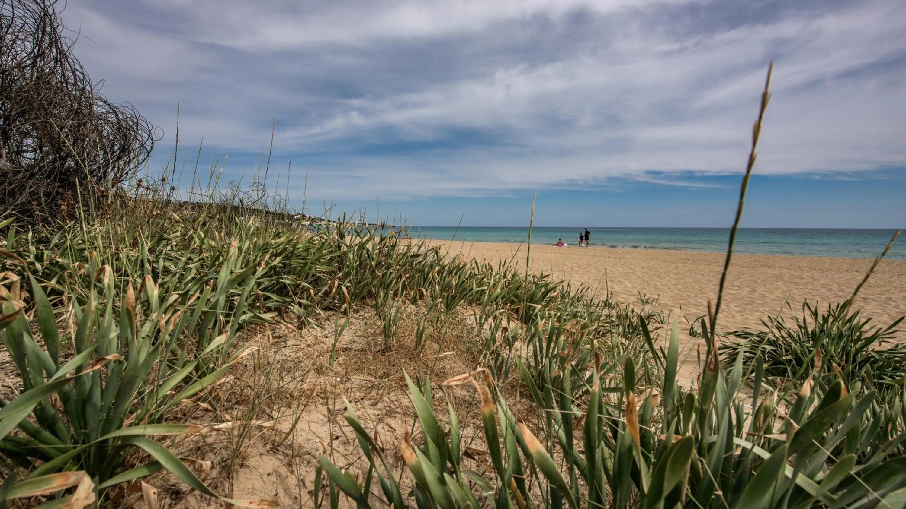 Beach in Morello Beach Hotel