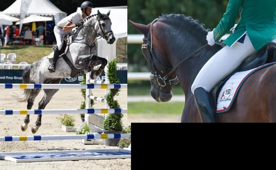 Horse-riding in Gasthaus Löwen