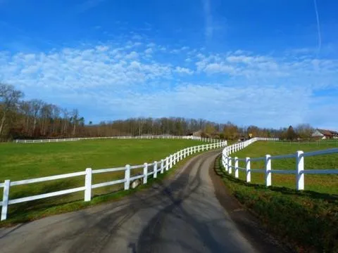 Horse-riding in Gasthaus Löwen