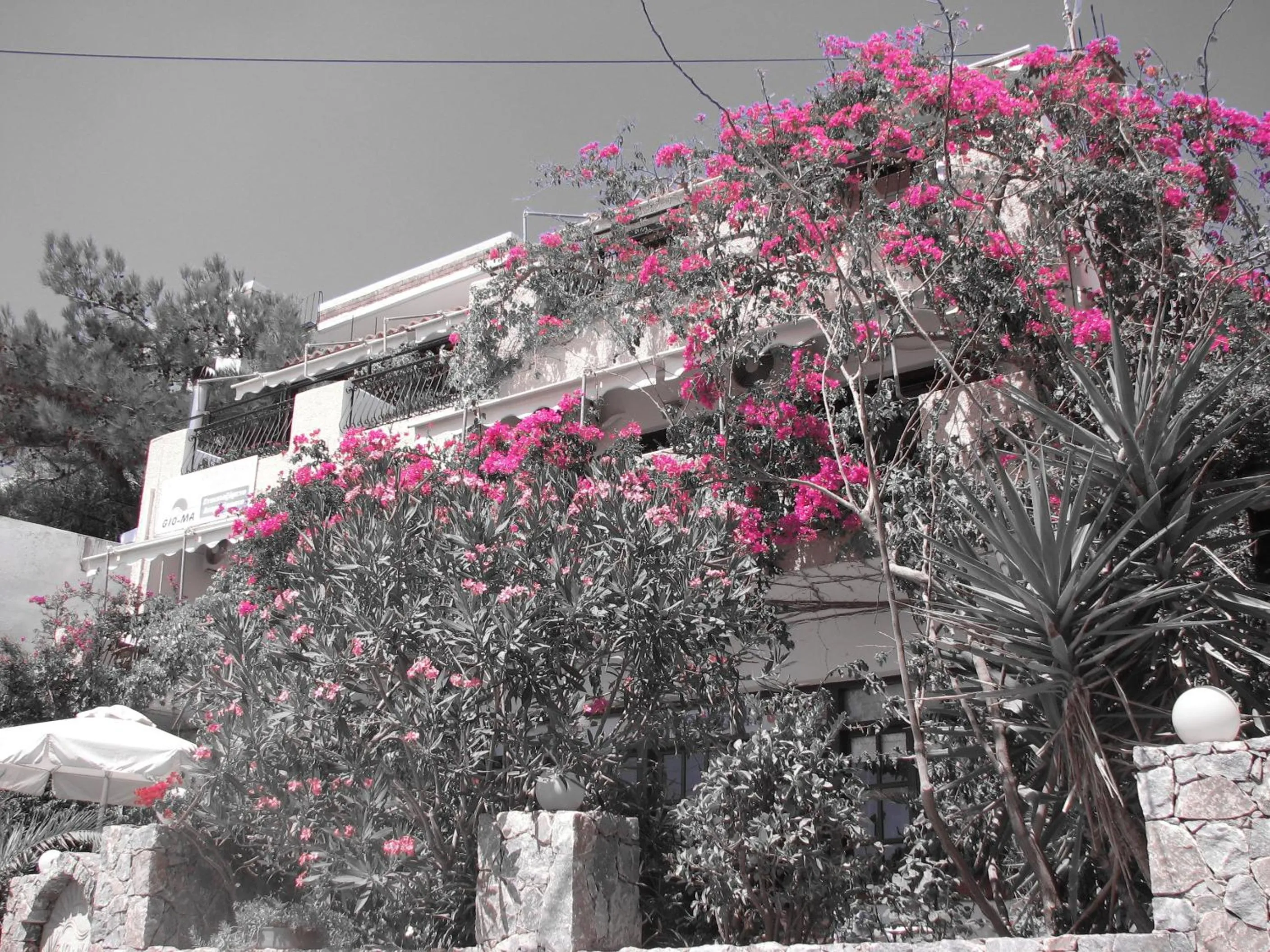 Facade/entrance in Gio-Ma