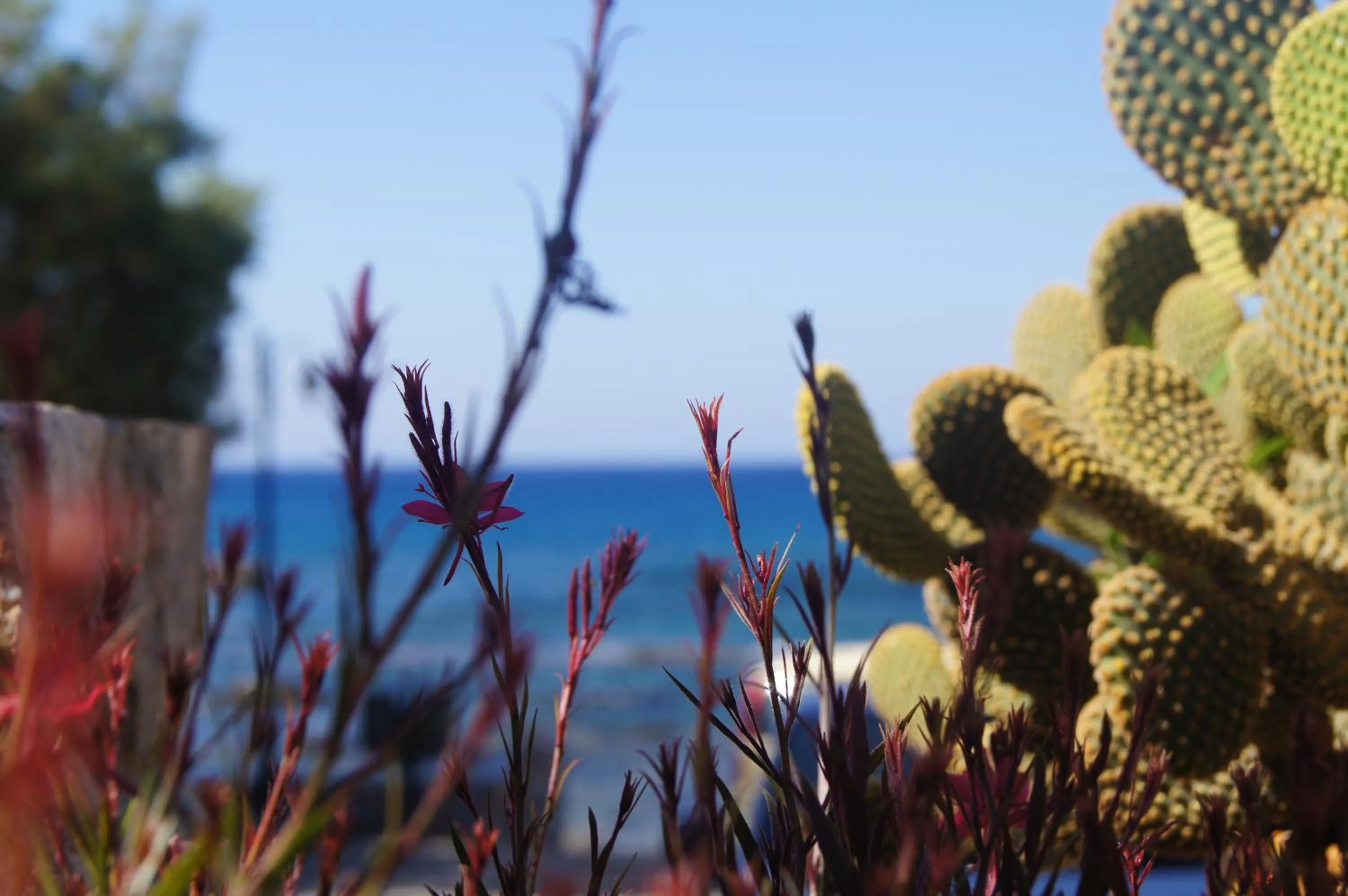 Sea view in Gio-Ma