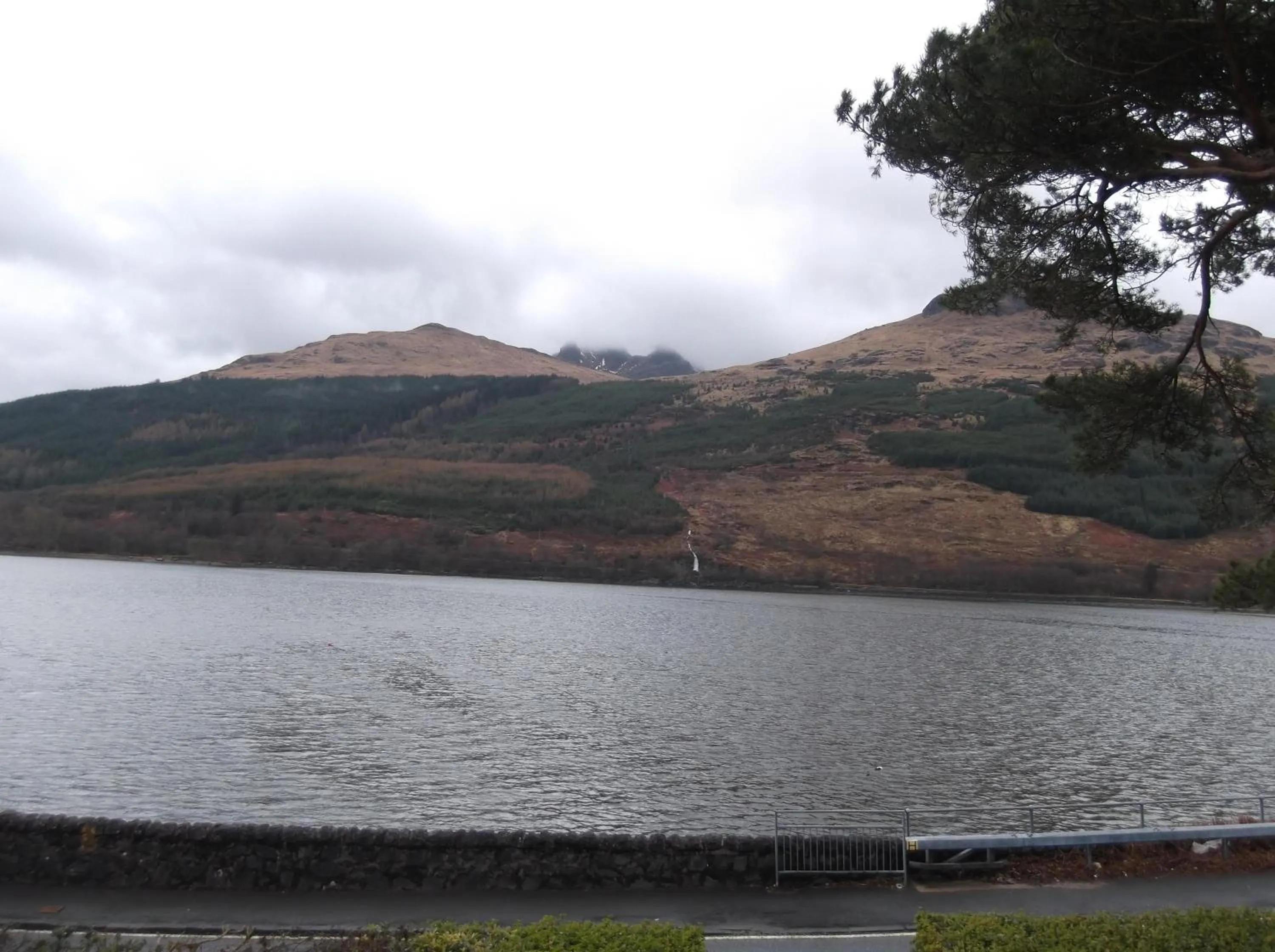Area and facilities in Arrochar Hotel 'A Bespoke Hotel'