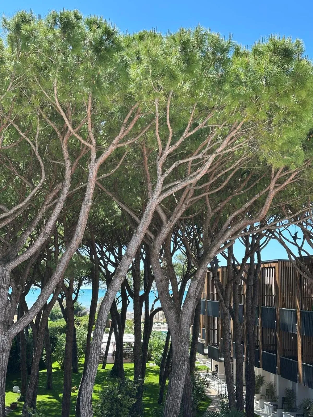 Natural landscape in Hotel Gallia & Resort