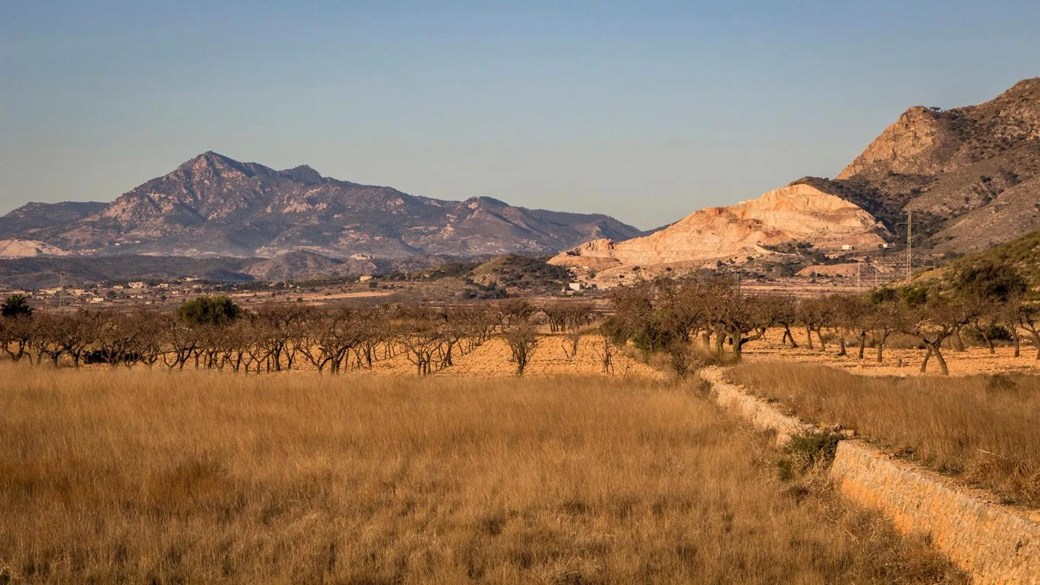 Neighbourhood in Casa de la Piña