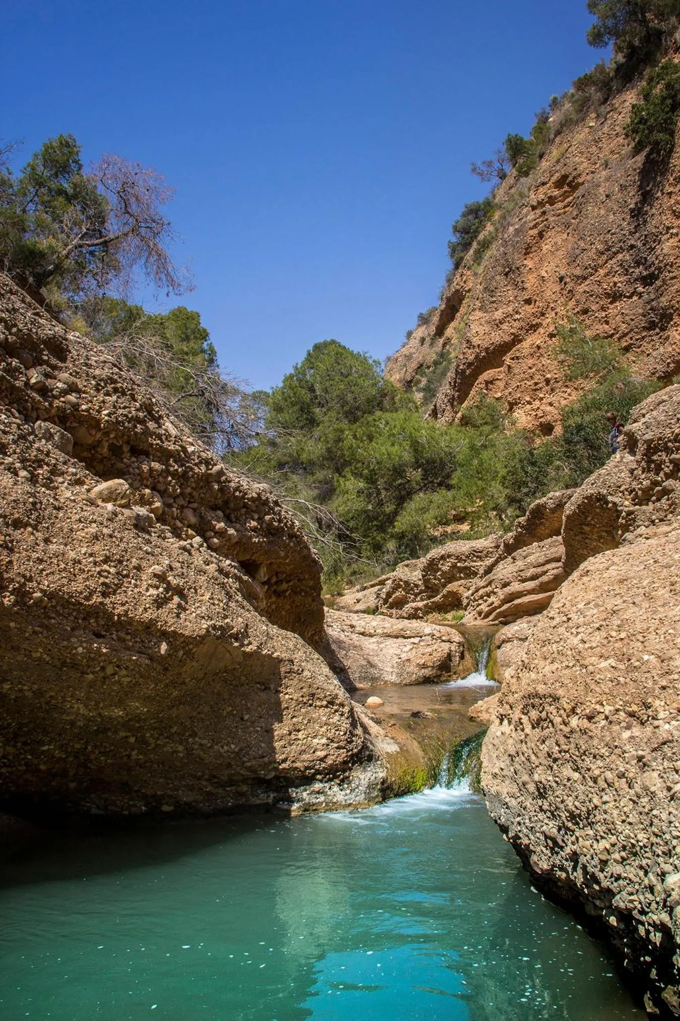 Nearby landmark in Casa de la Piña
