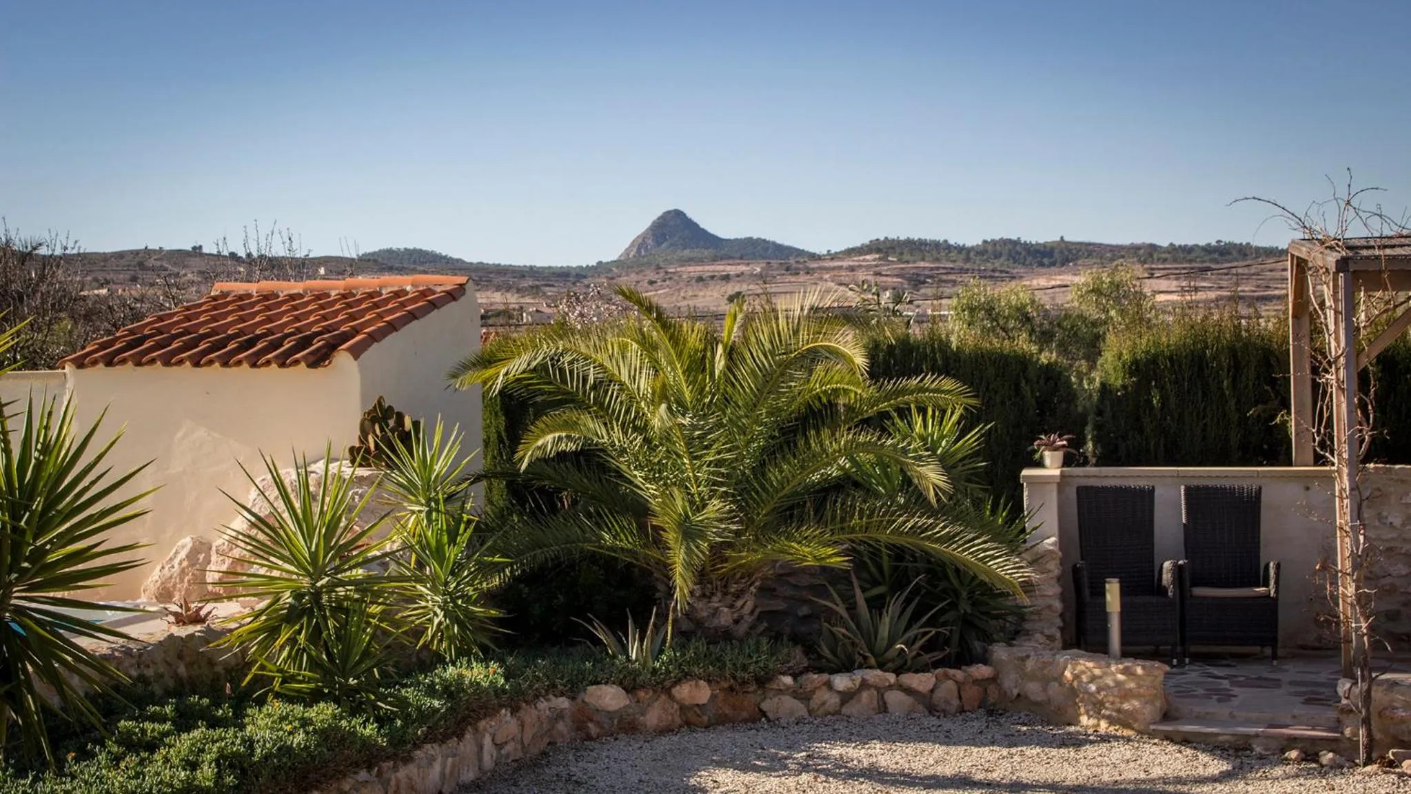 Garden in Casa de la Piña