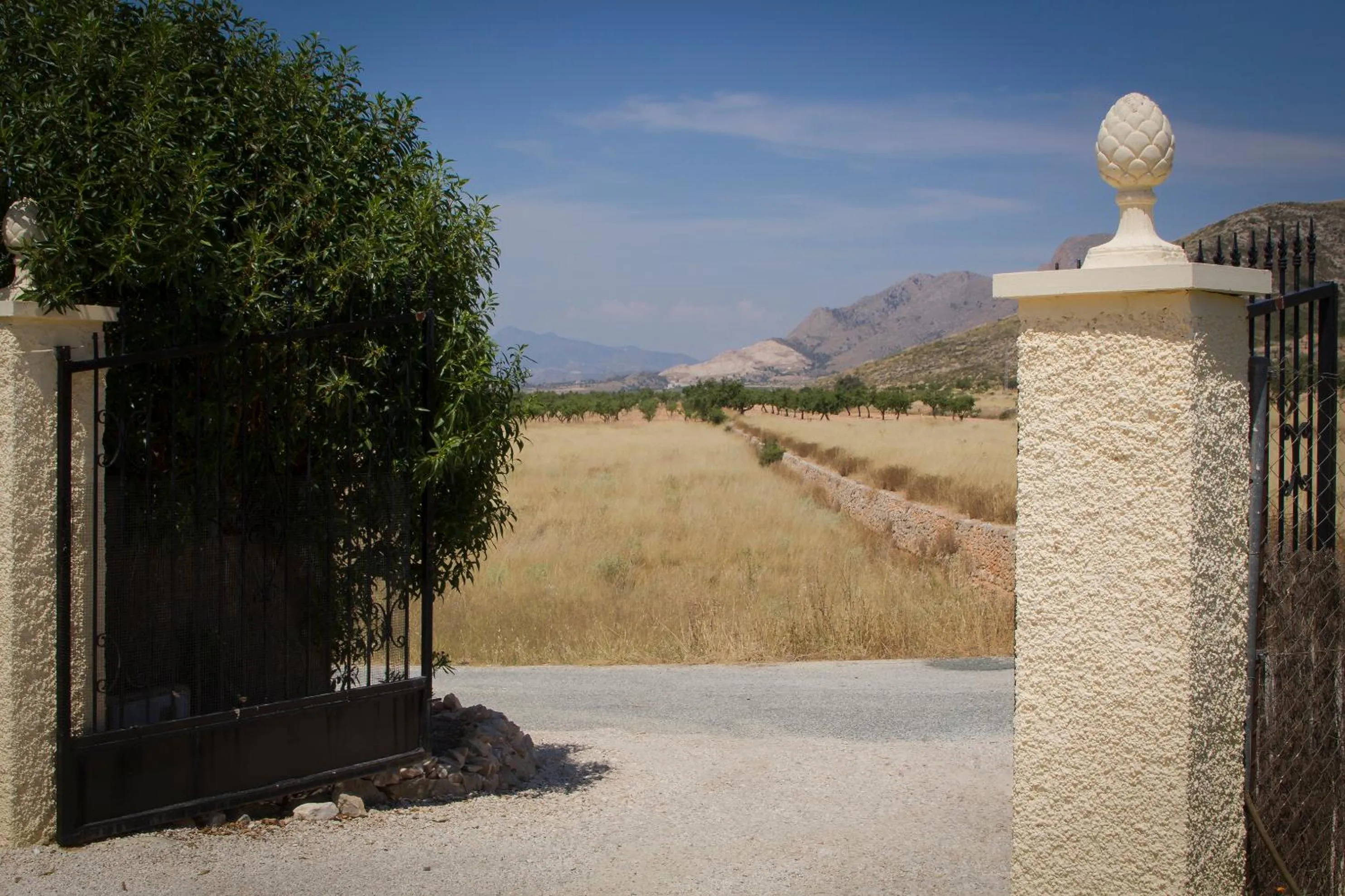 Garden in Casa de la Piña
