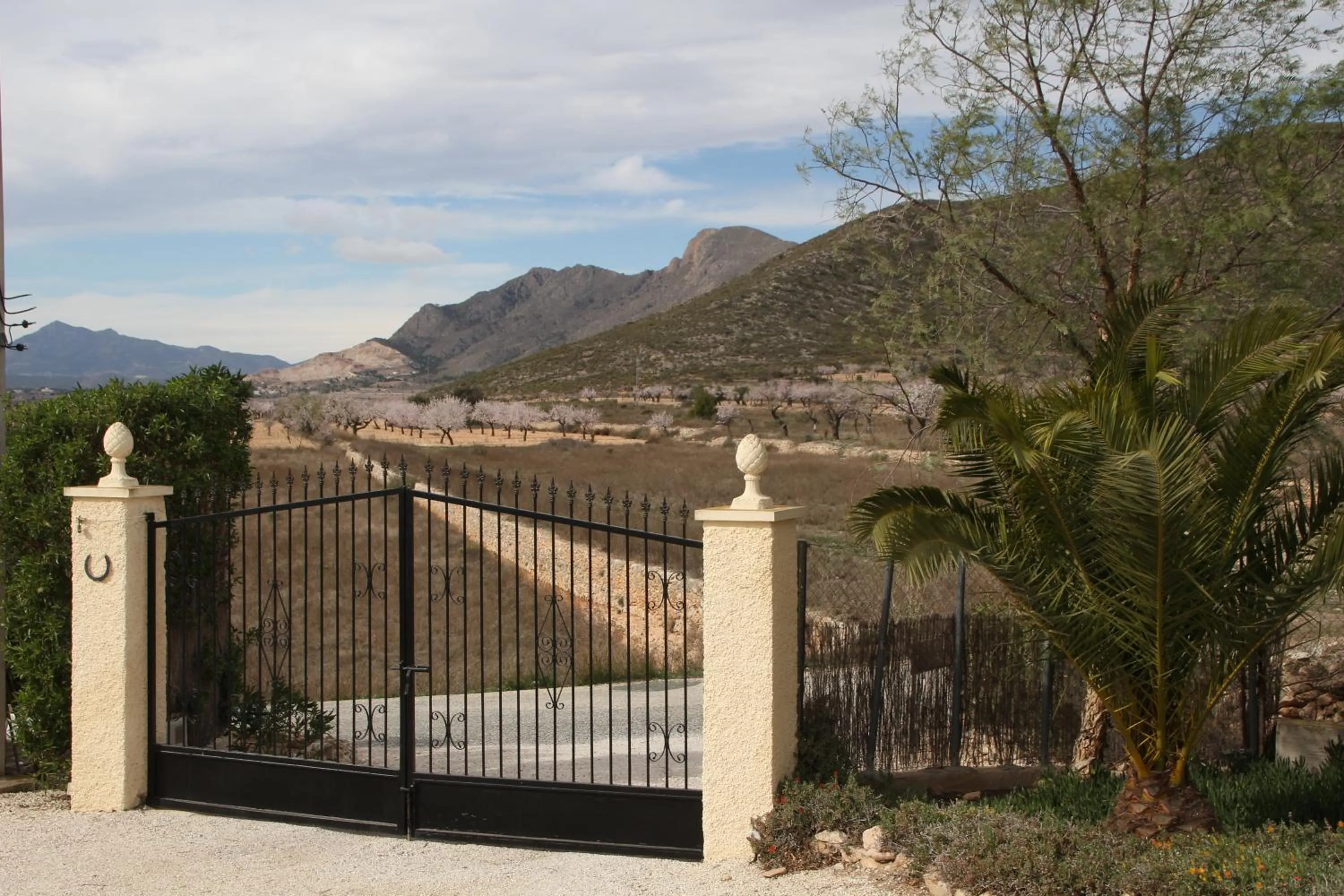 Property building in Casa de la Piña