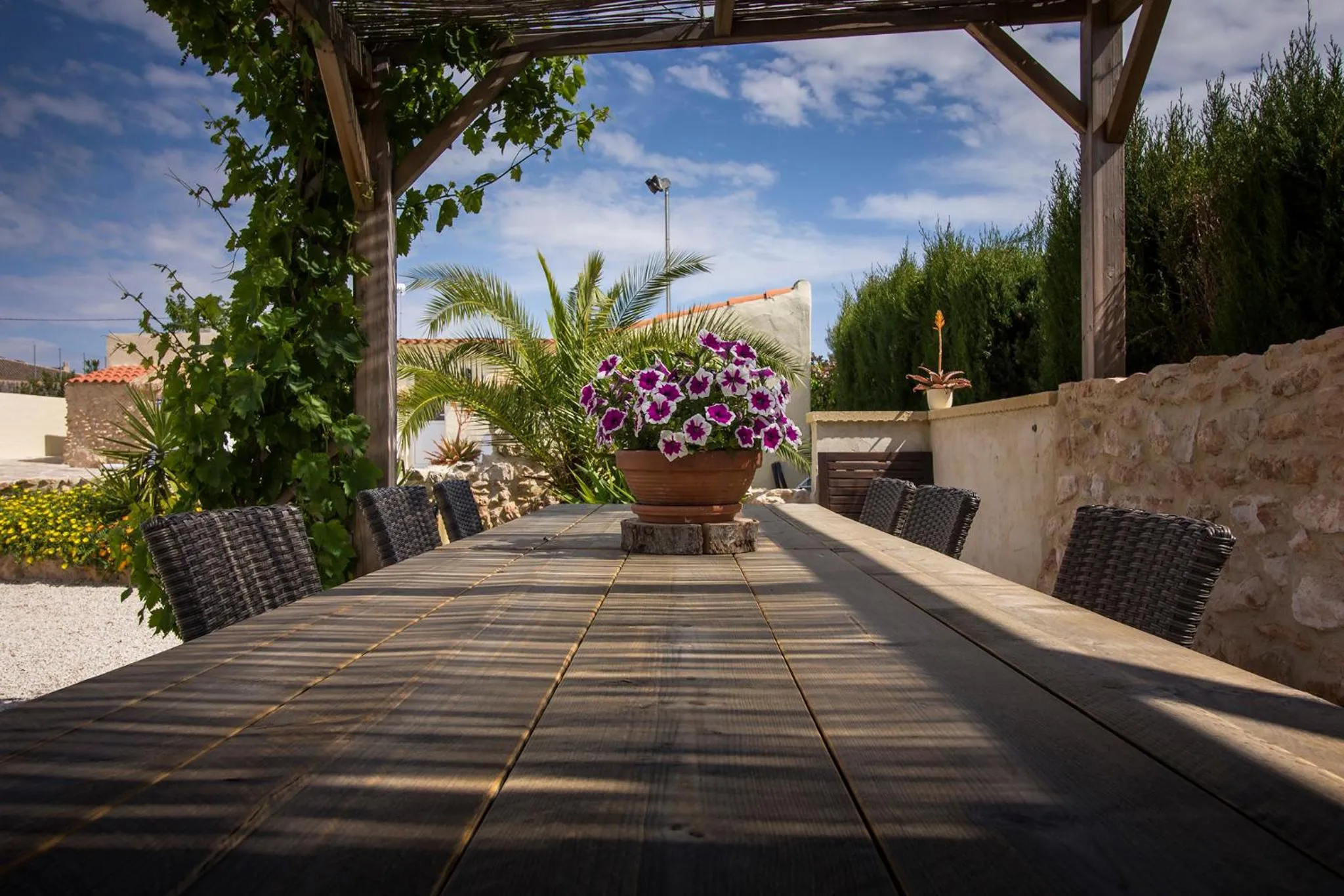 Garden in Casa de la Piña