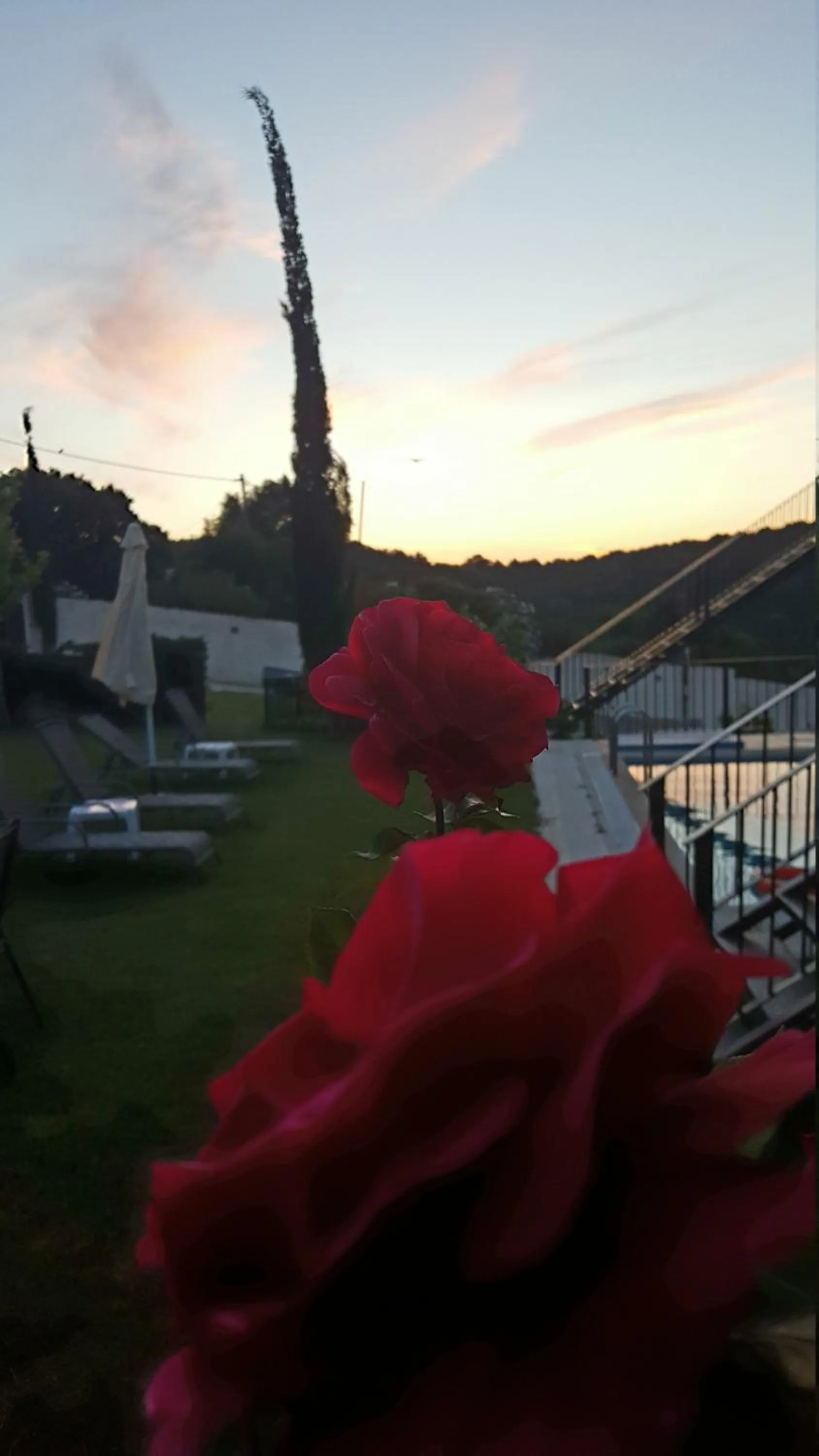 Garden in Ornella Beach Resort & Villas