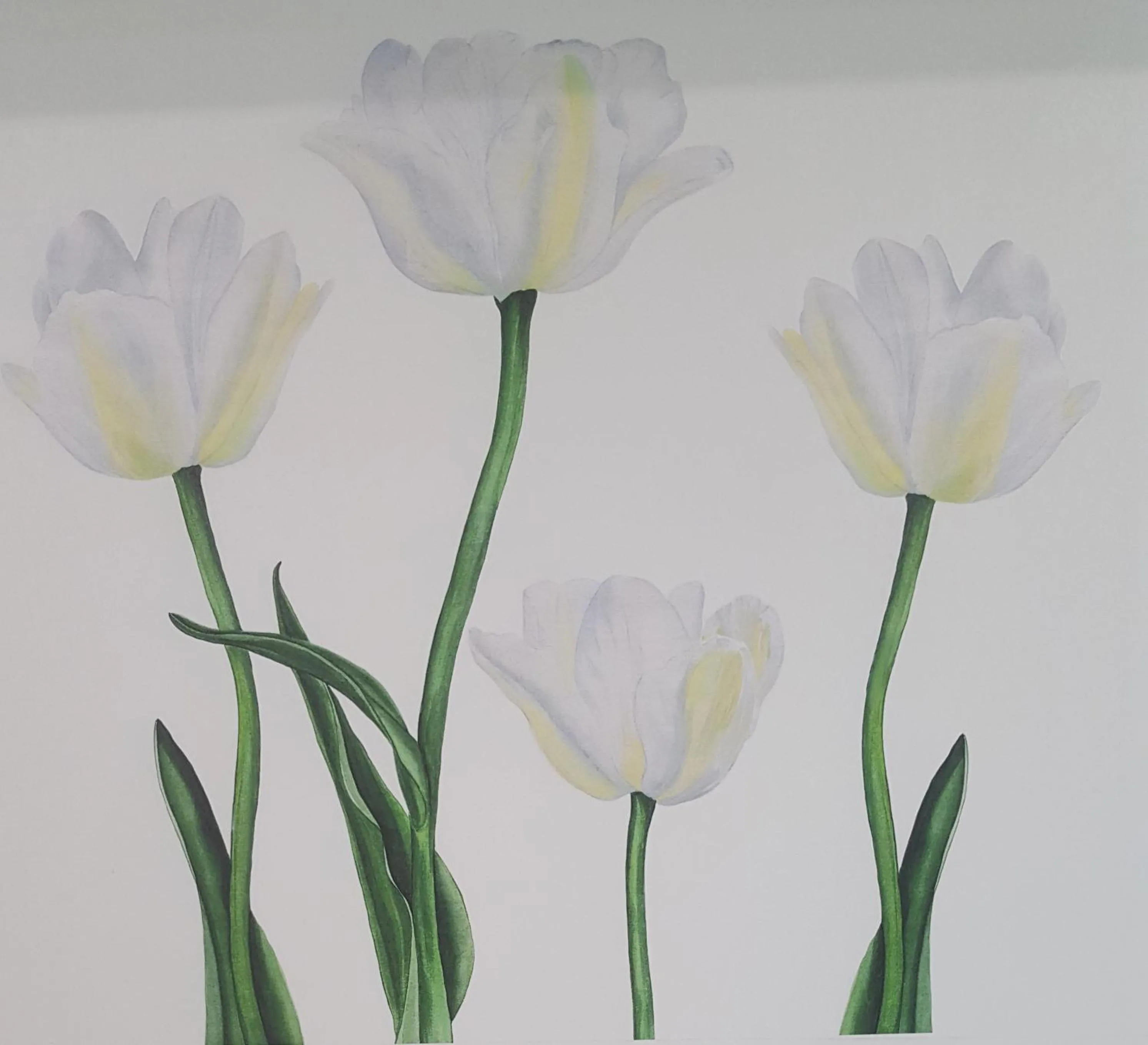 Logo/Certificate/Sign in RESIDENZA BURMARIA Free Parking