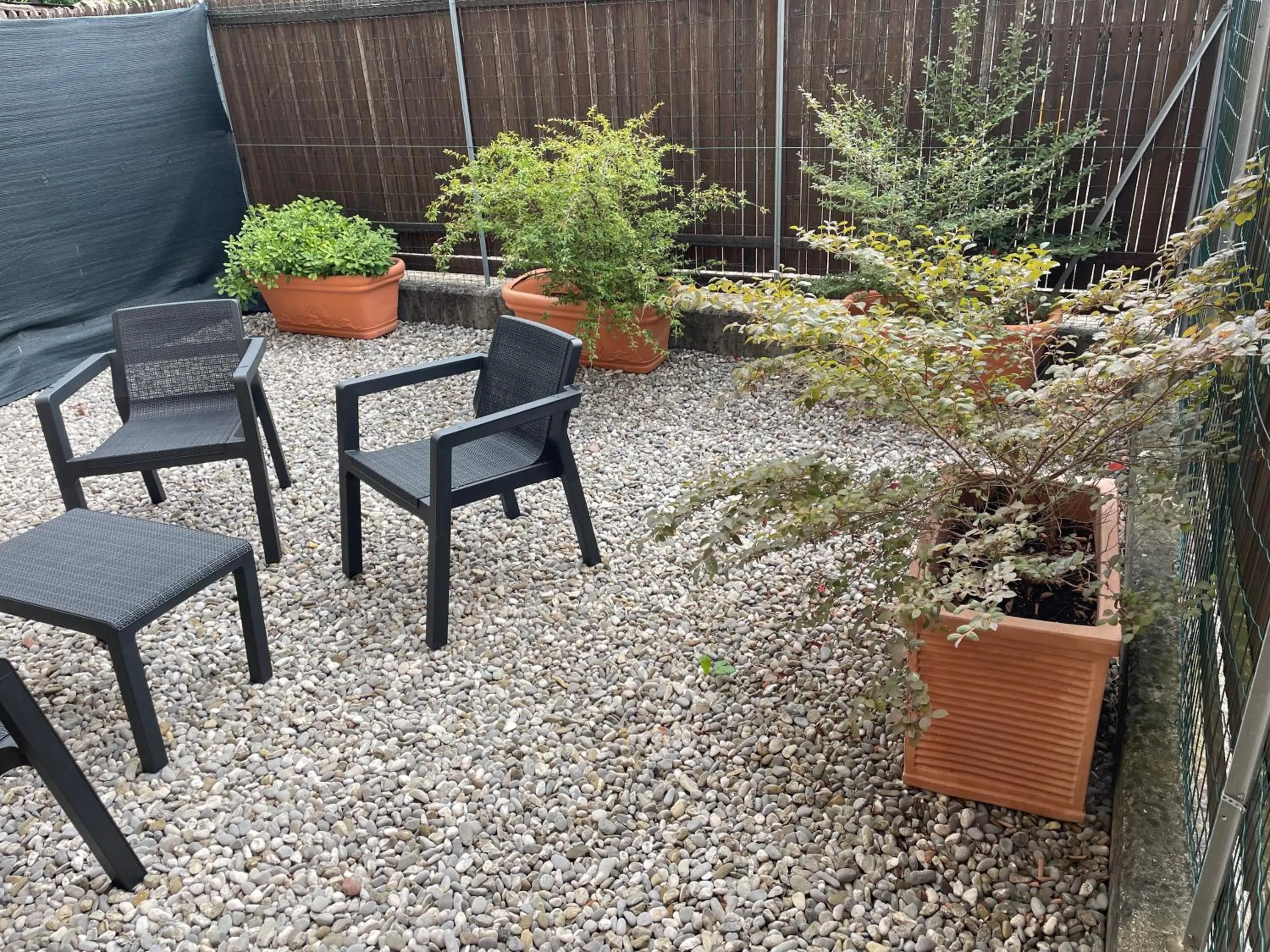 Garden in Villa Patrizia