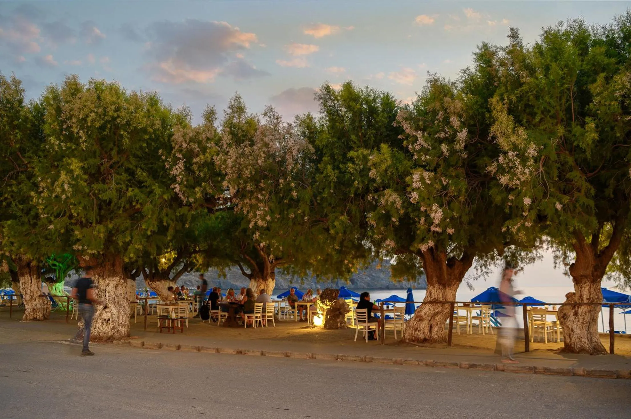 Restaurant/places to eat in Alianthos Beach Hotel