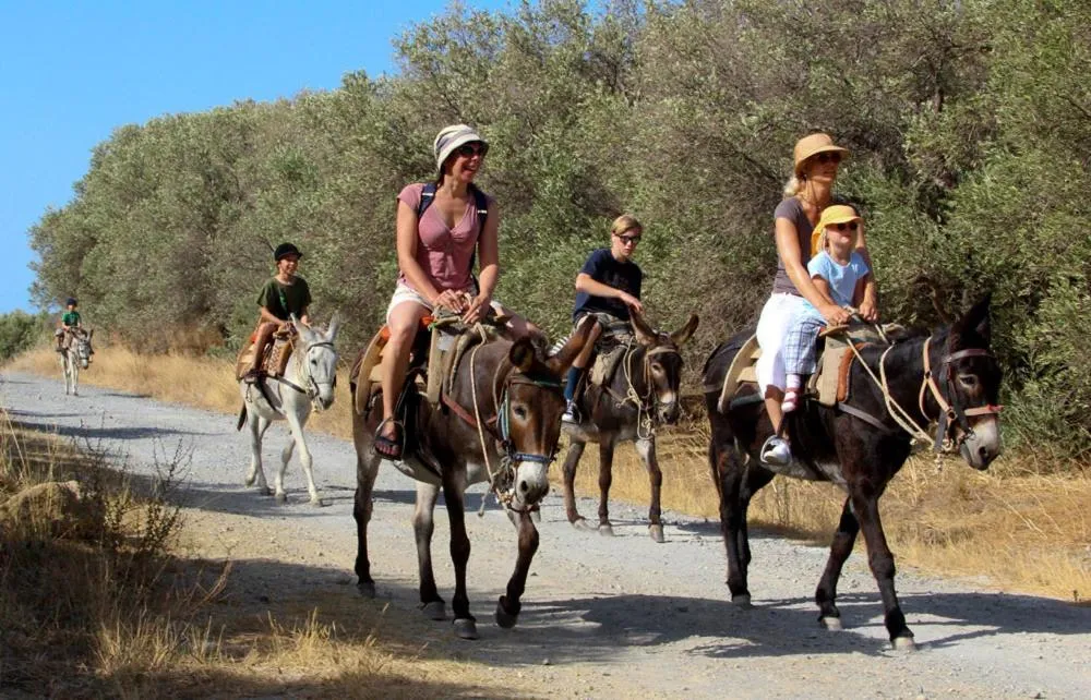 Horse-riding in Alianthos Beach Hotel