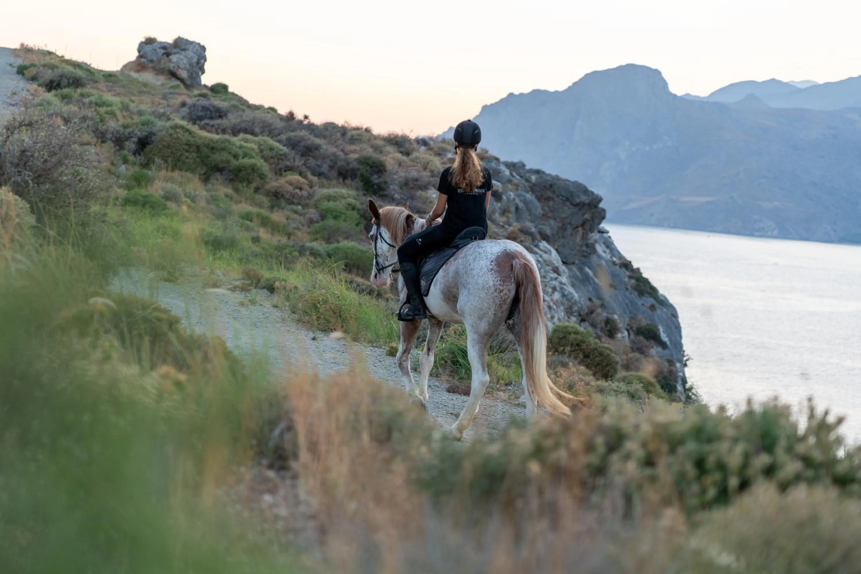 Horse-riding in Alianthos Beach Hotel