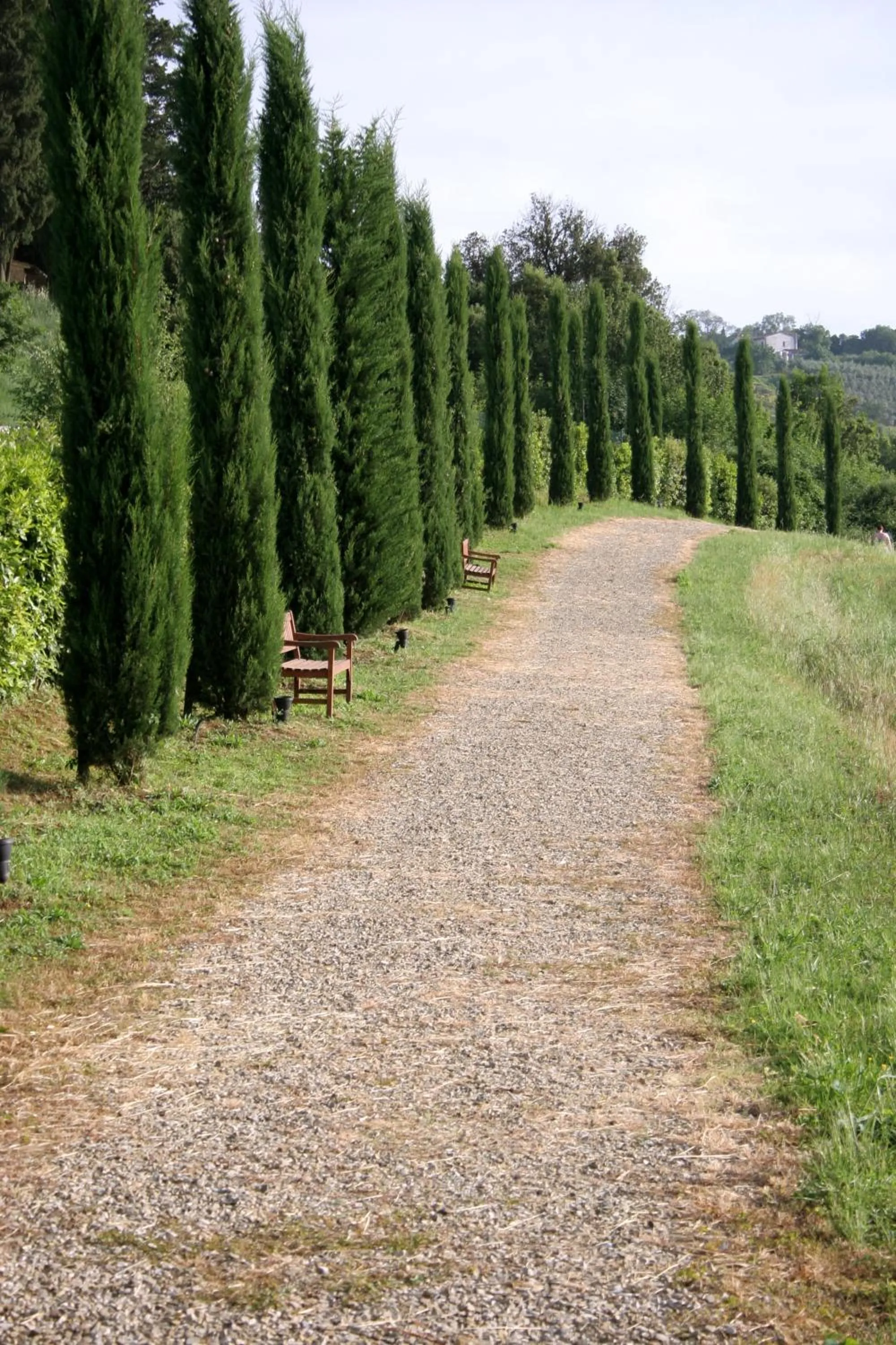 Facade/entrance in Tenuta Sant'Ilario