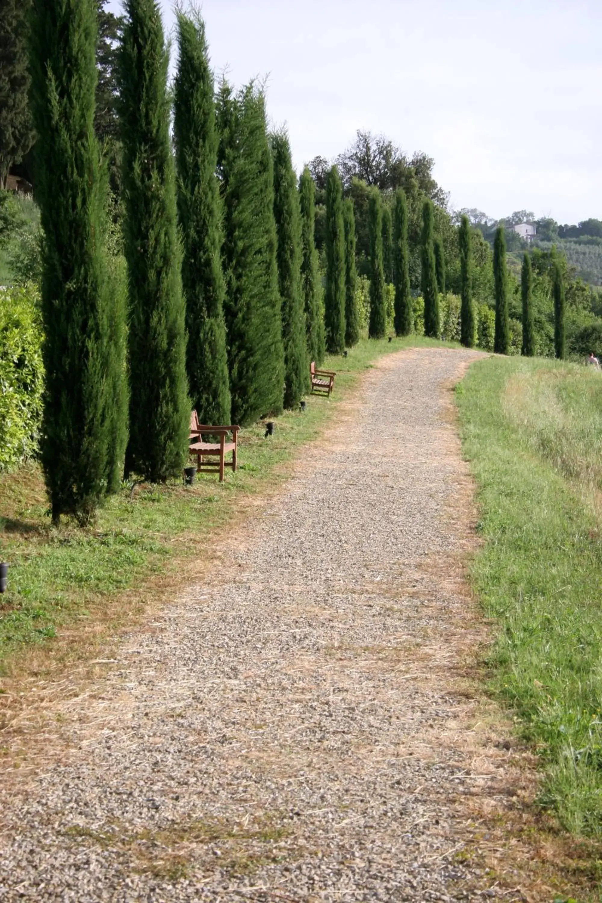 Facade/entrance in Tenuta Sant'Ilario Facade/entrance in Tenuta Sant'Ilario