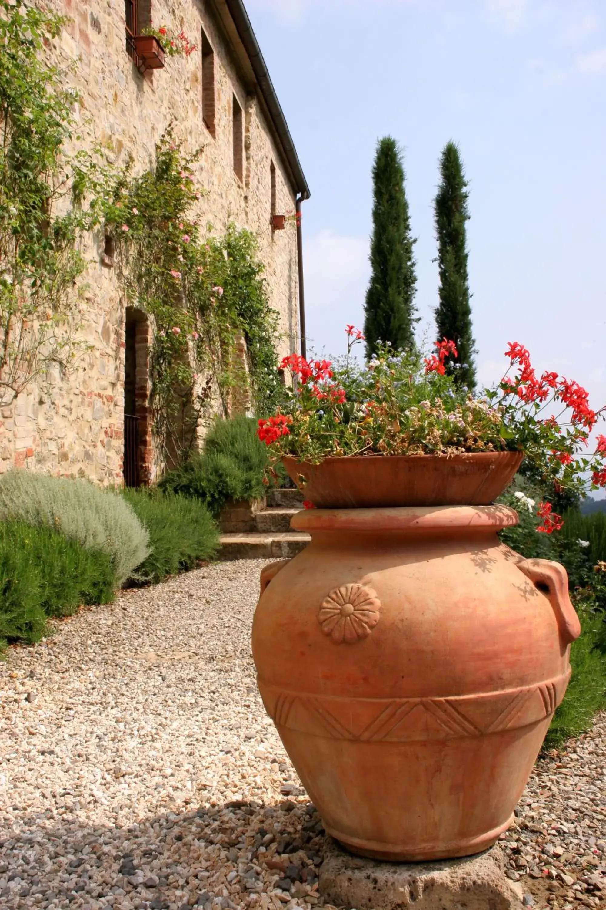 Facade/entrance in Tenuta Sant'Ilario Facade/entrance in Tenuta Sant'Ilario