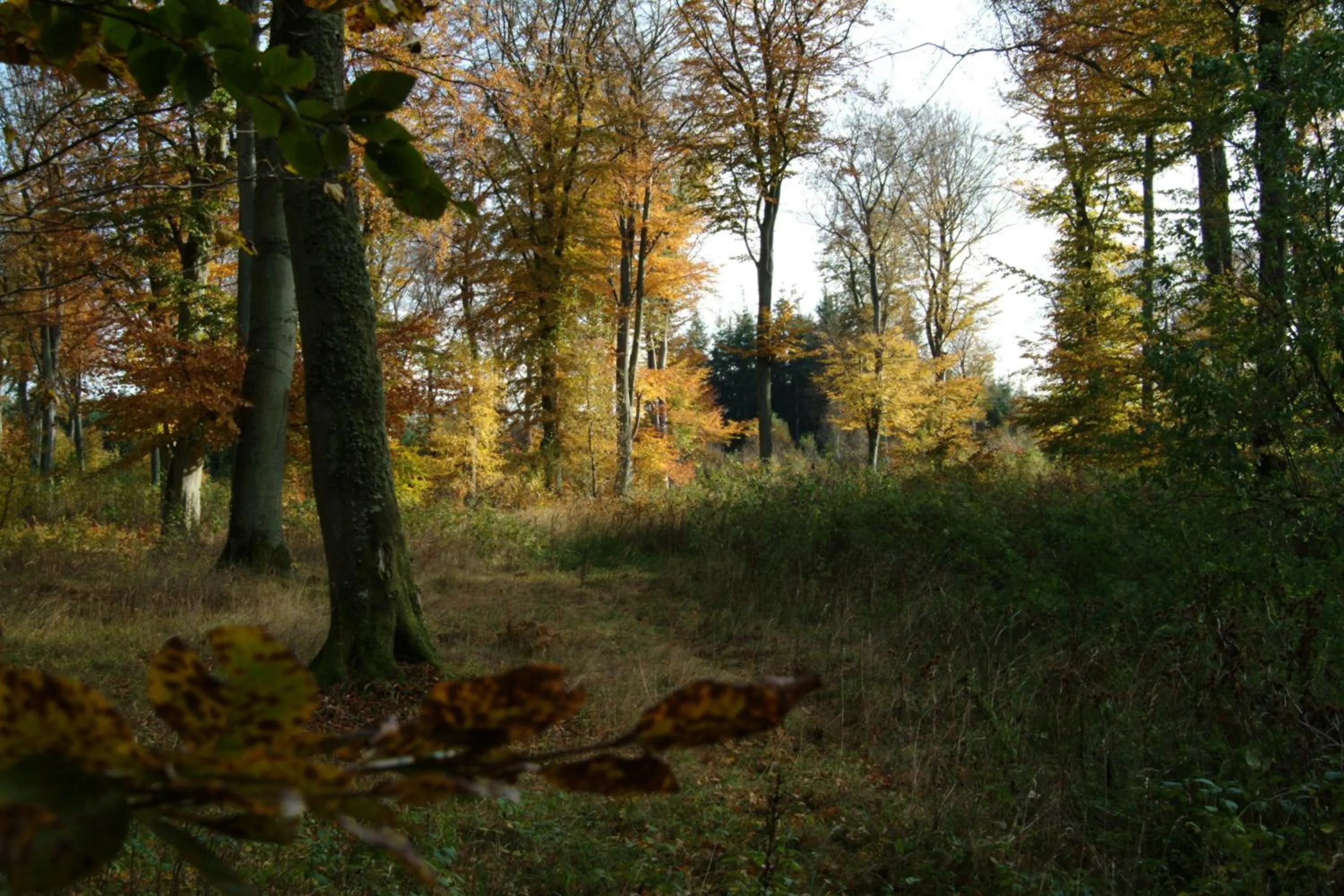 Hiking in Gjerrild Kro