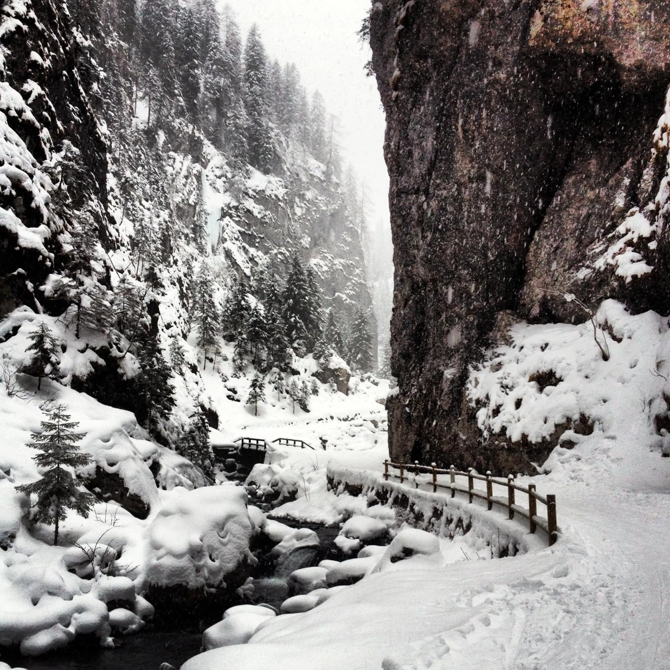 Area and facilities in Apartments Sol E Nef