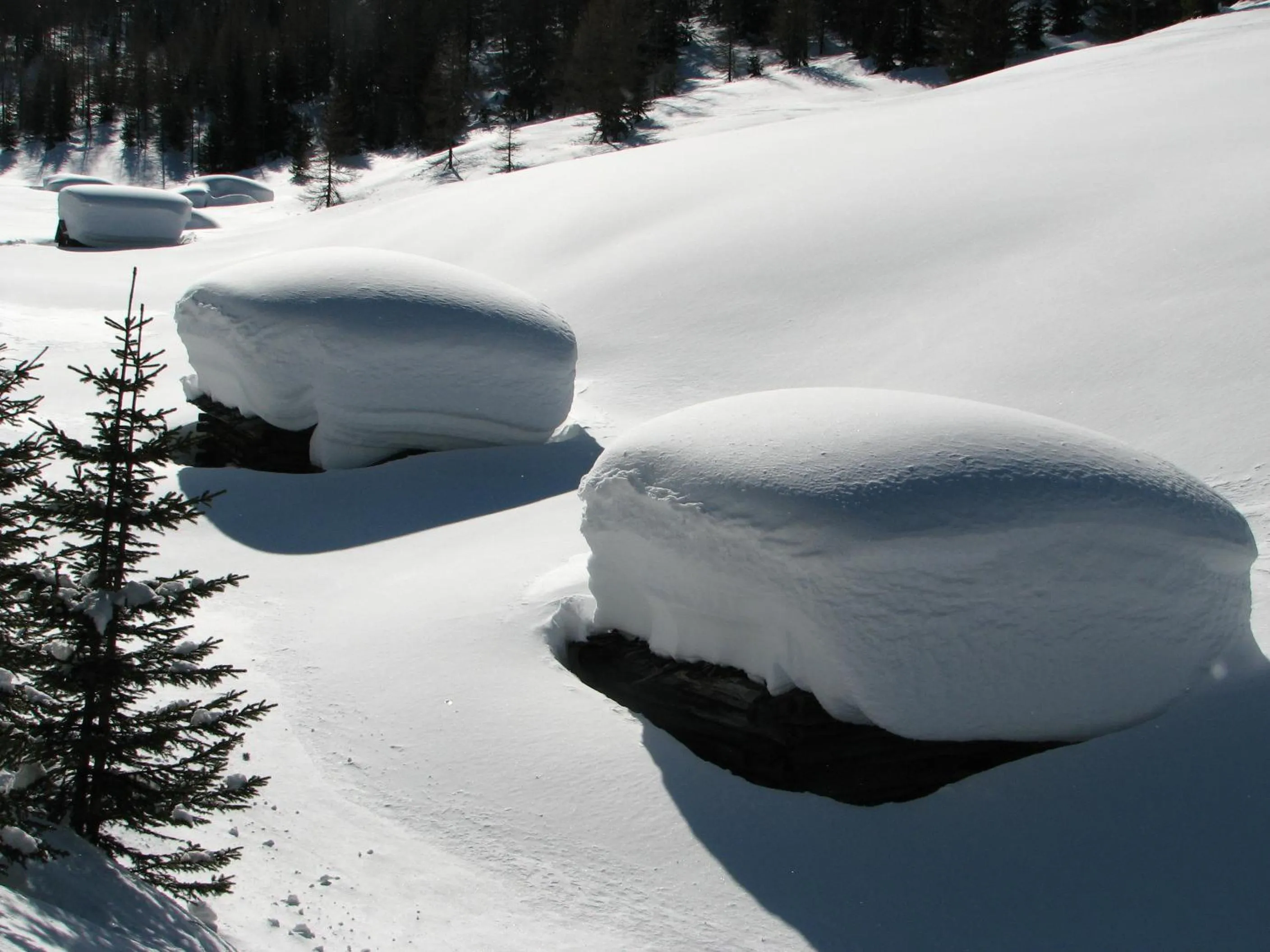 Activities in Apartments Sol E Nef