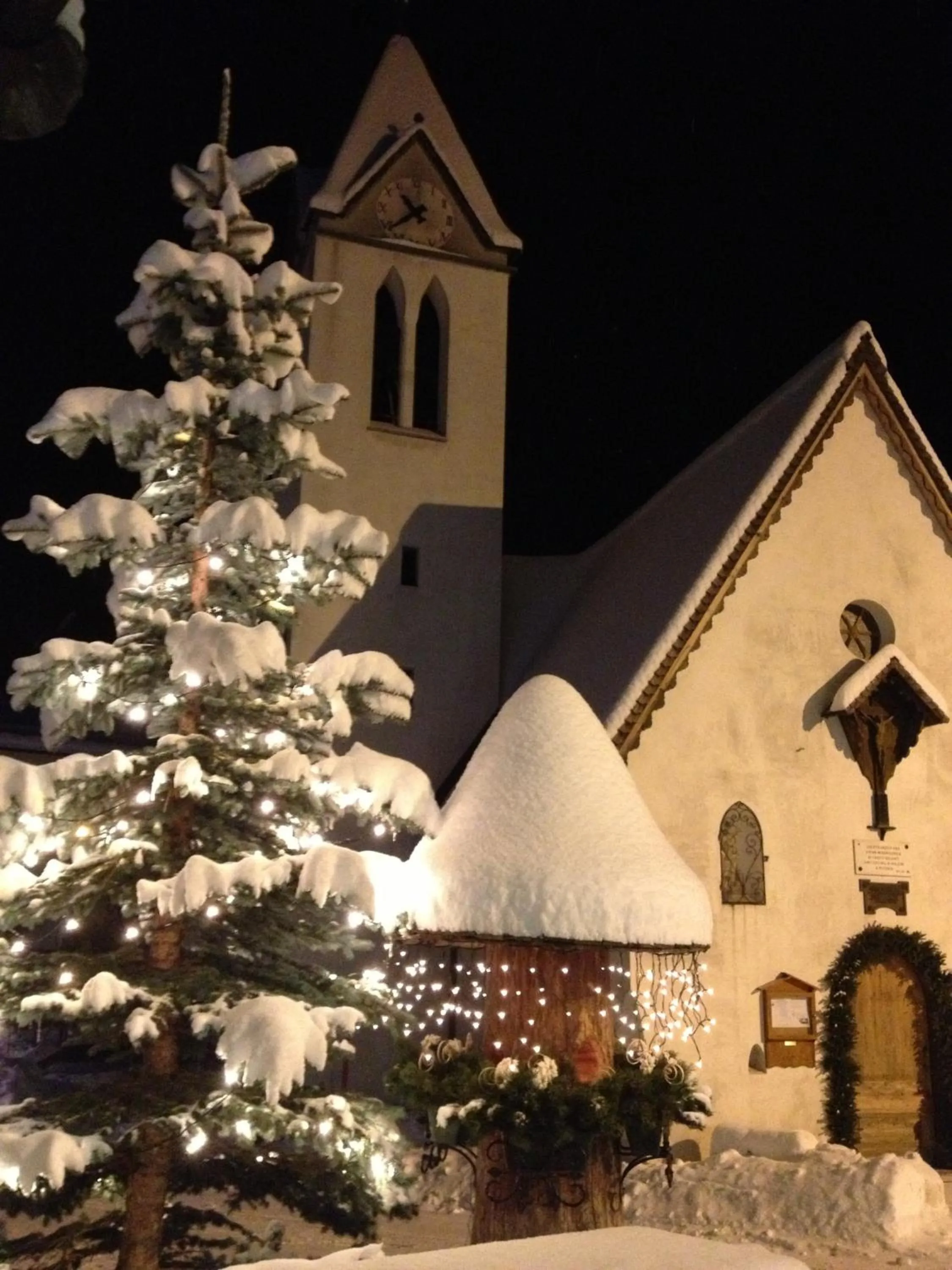 Area and facilities in Apartments Sol E Nef