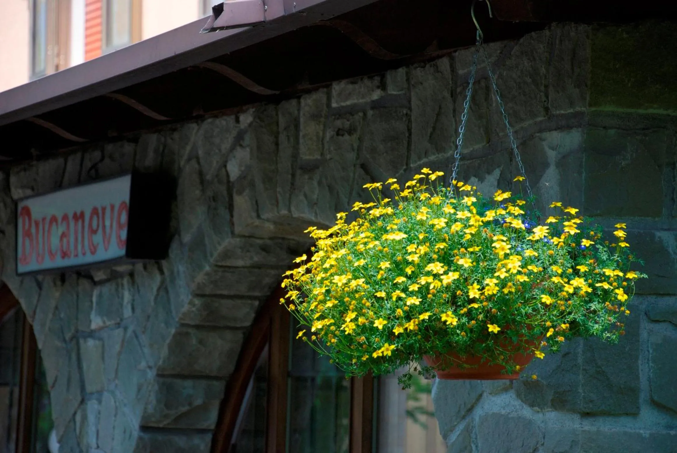 Facade/entrance in Albergo Bucaneve
