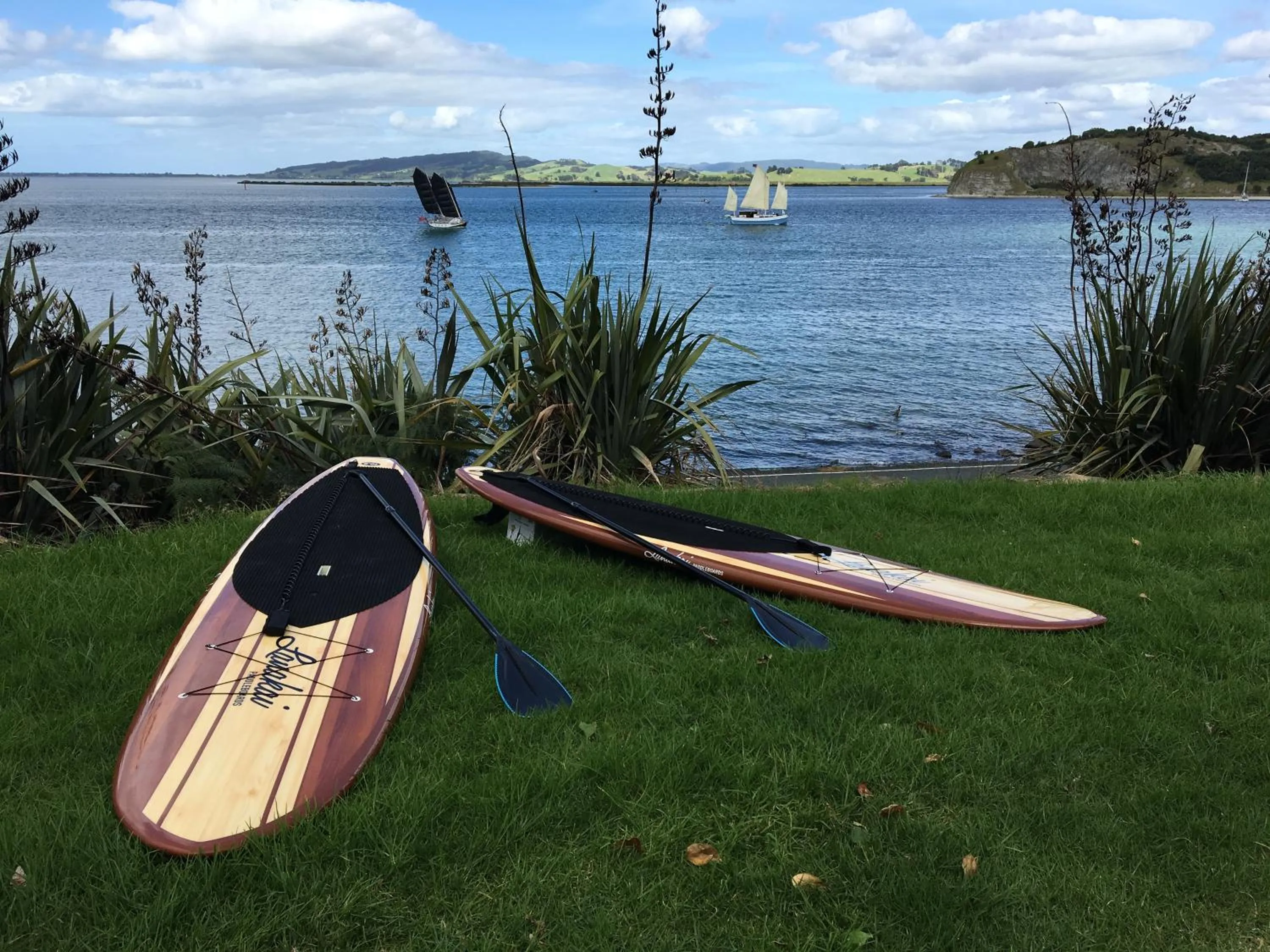 Activities in Harbour Lane Apartment