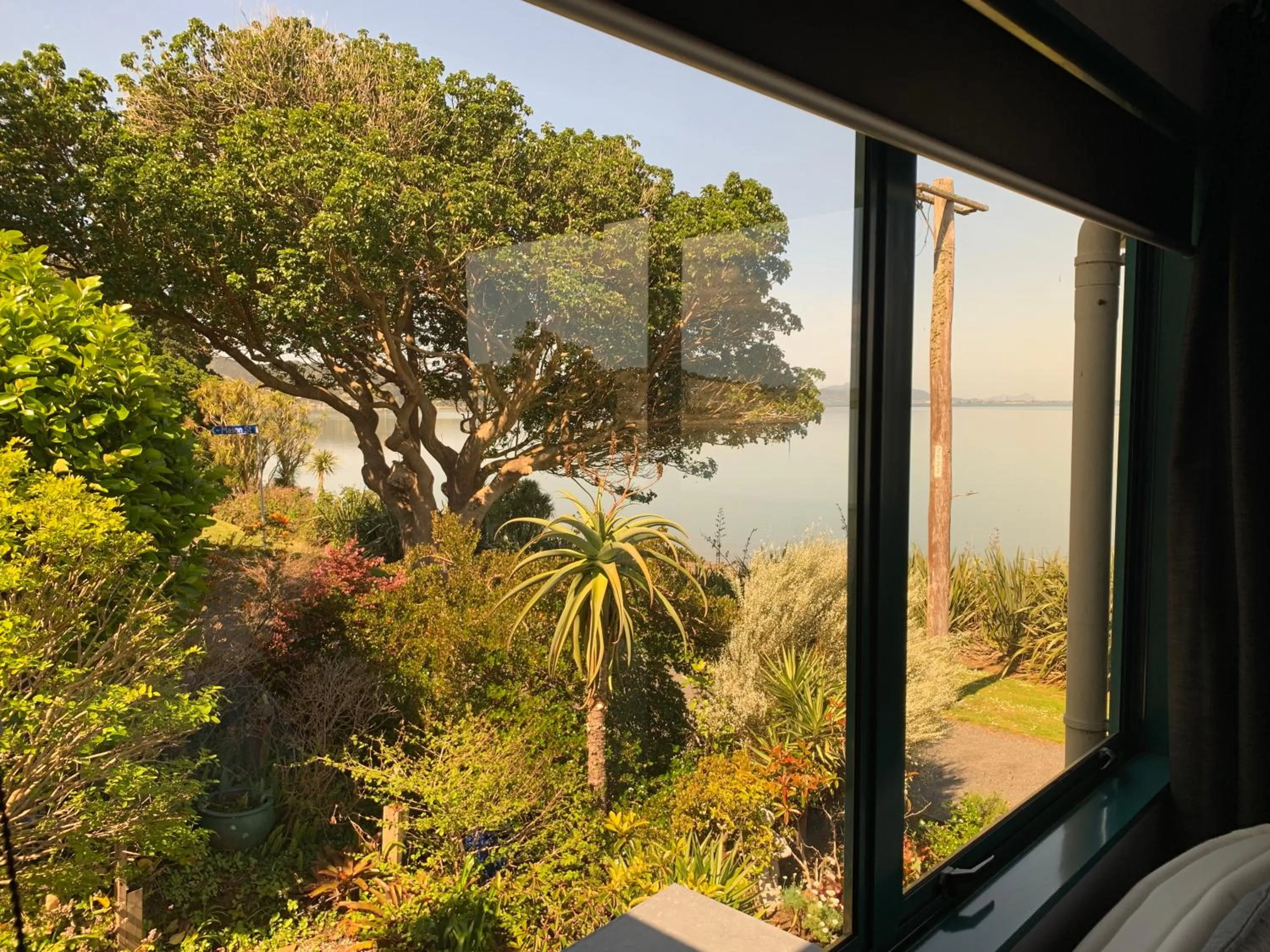 Garden view in Harbour Lane Apartment