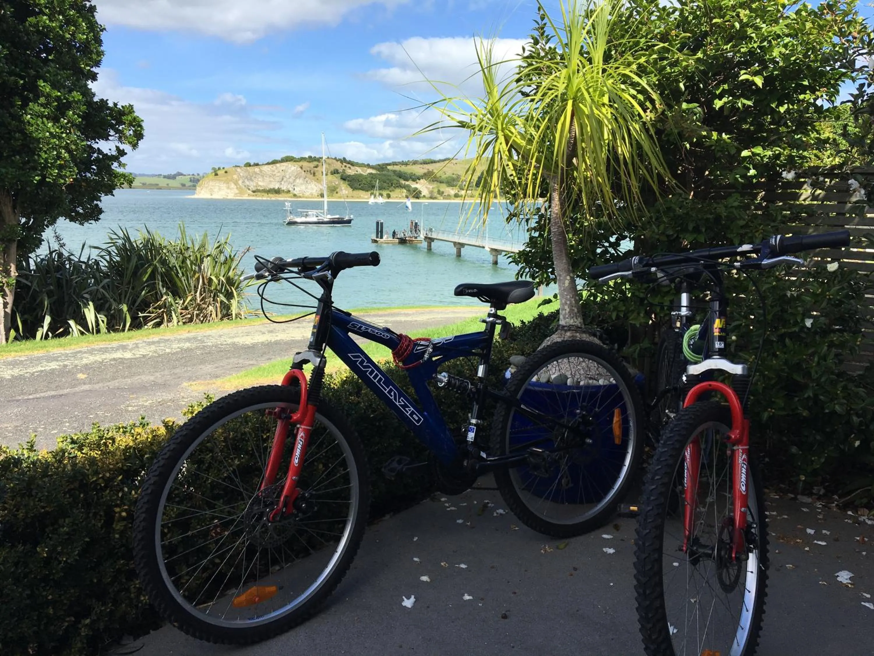 Cycling in Harbour Lane Apartment