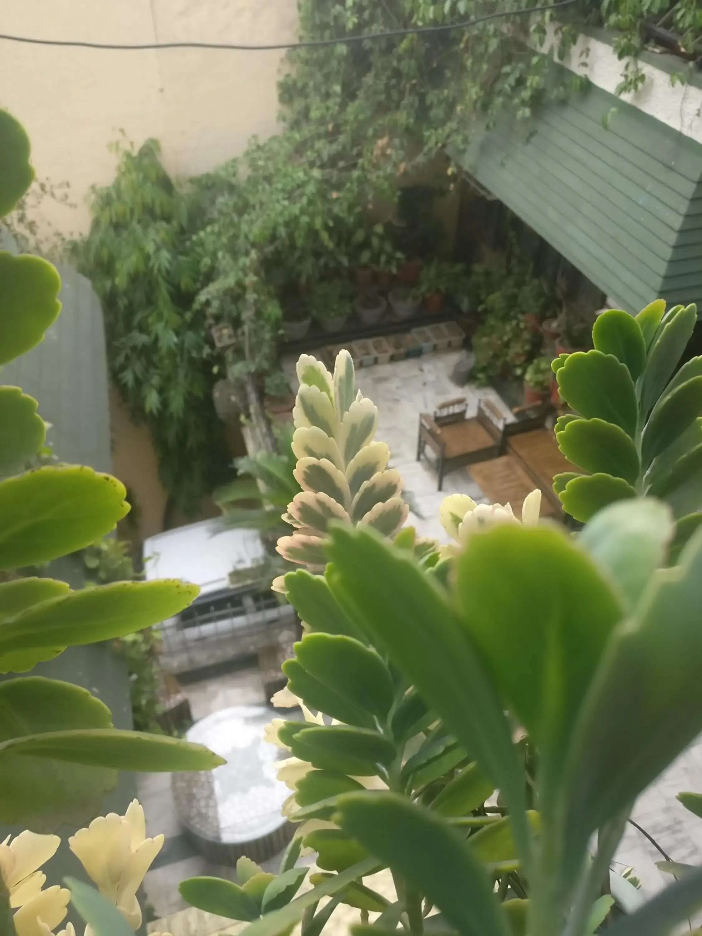 Property building in Hotel Embassy Property building in Hotel Embassy