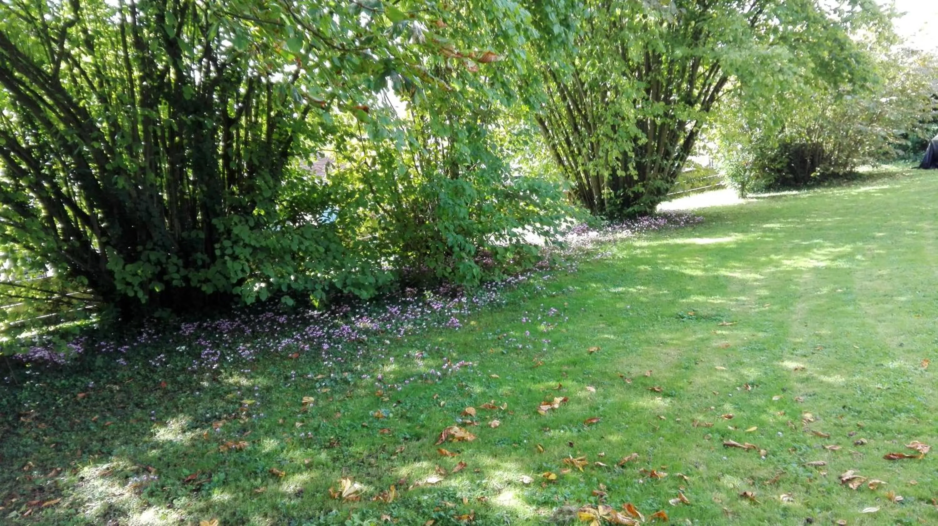 View (from property/room) in La Fruitiere