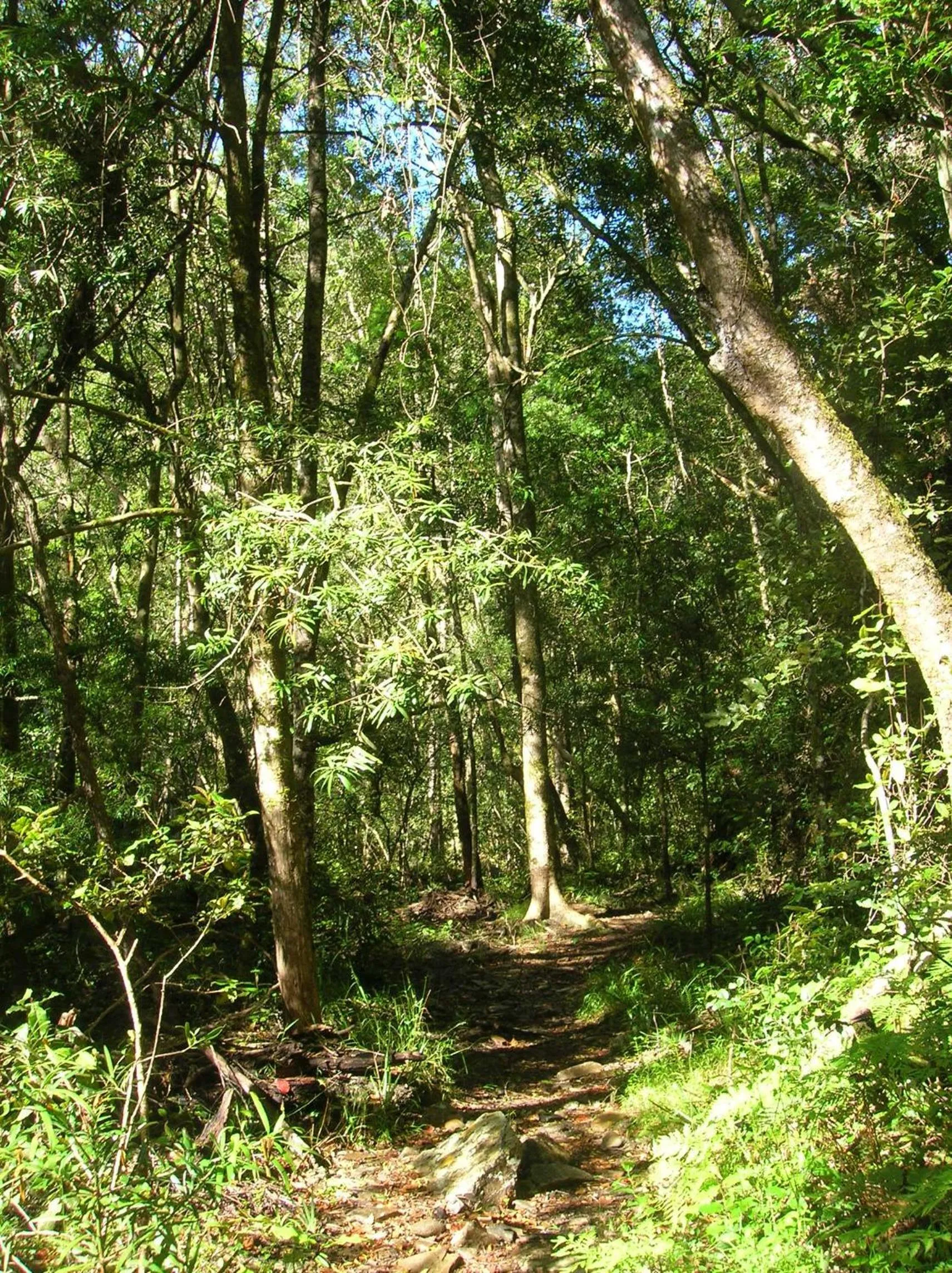 Hiking in The Old Trading Post