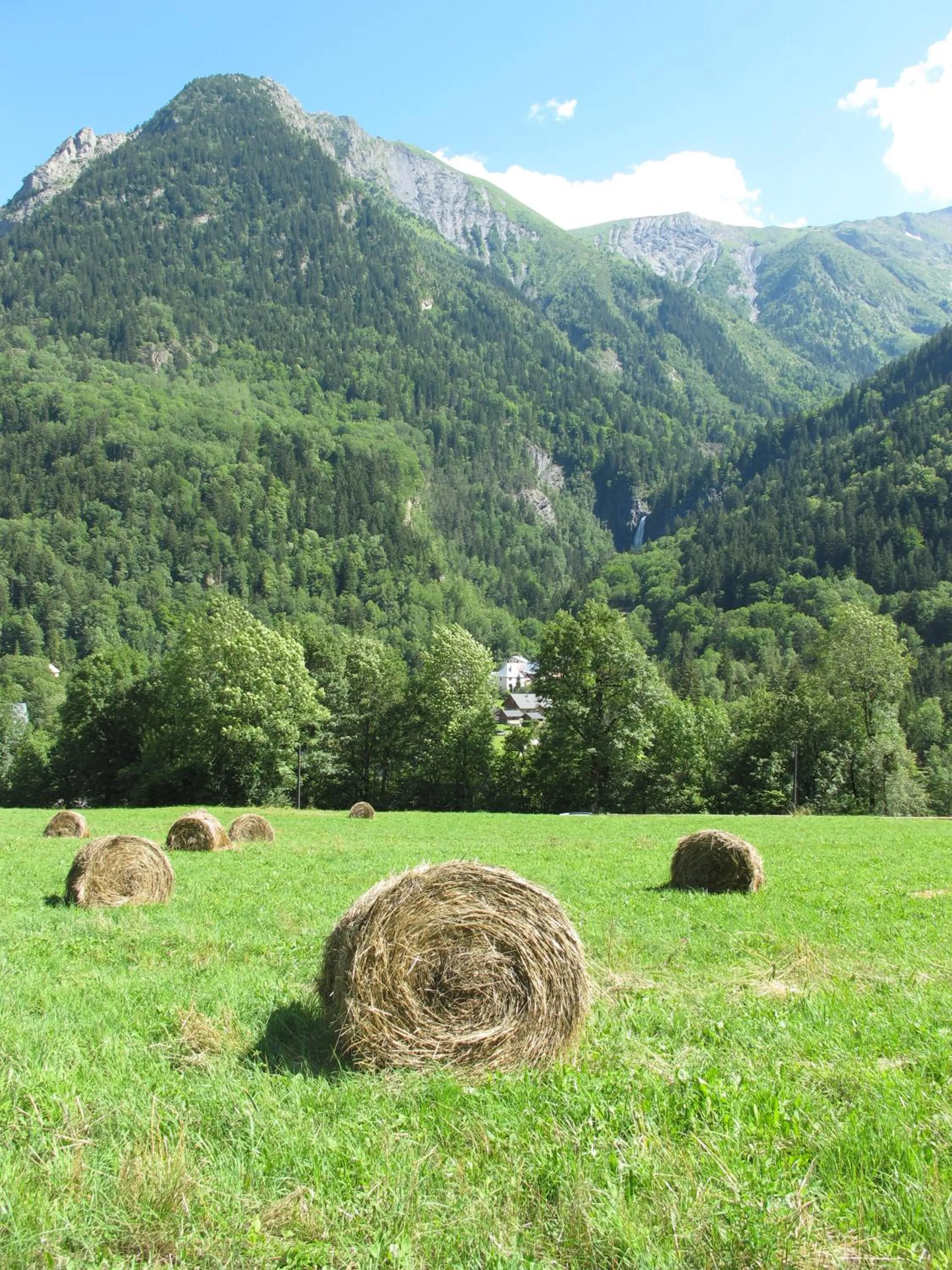 Area and facilities in Chateau De La Muzelle