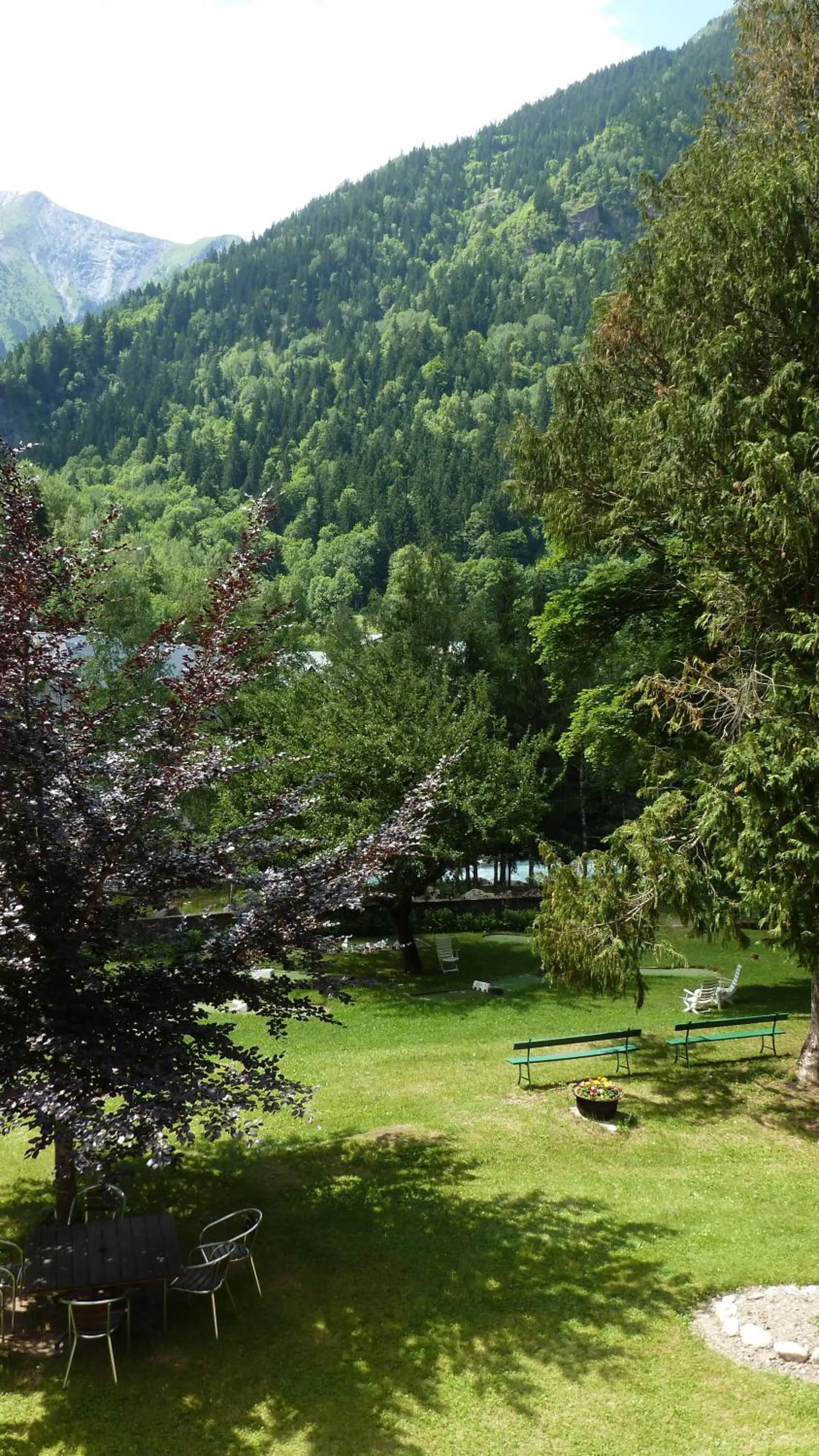 Garden in Chateau De La Muzelle