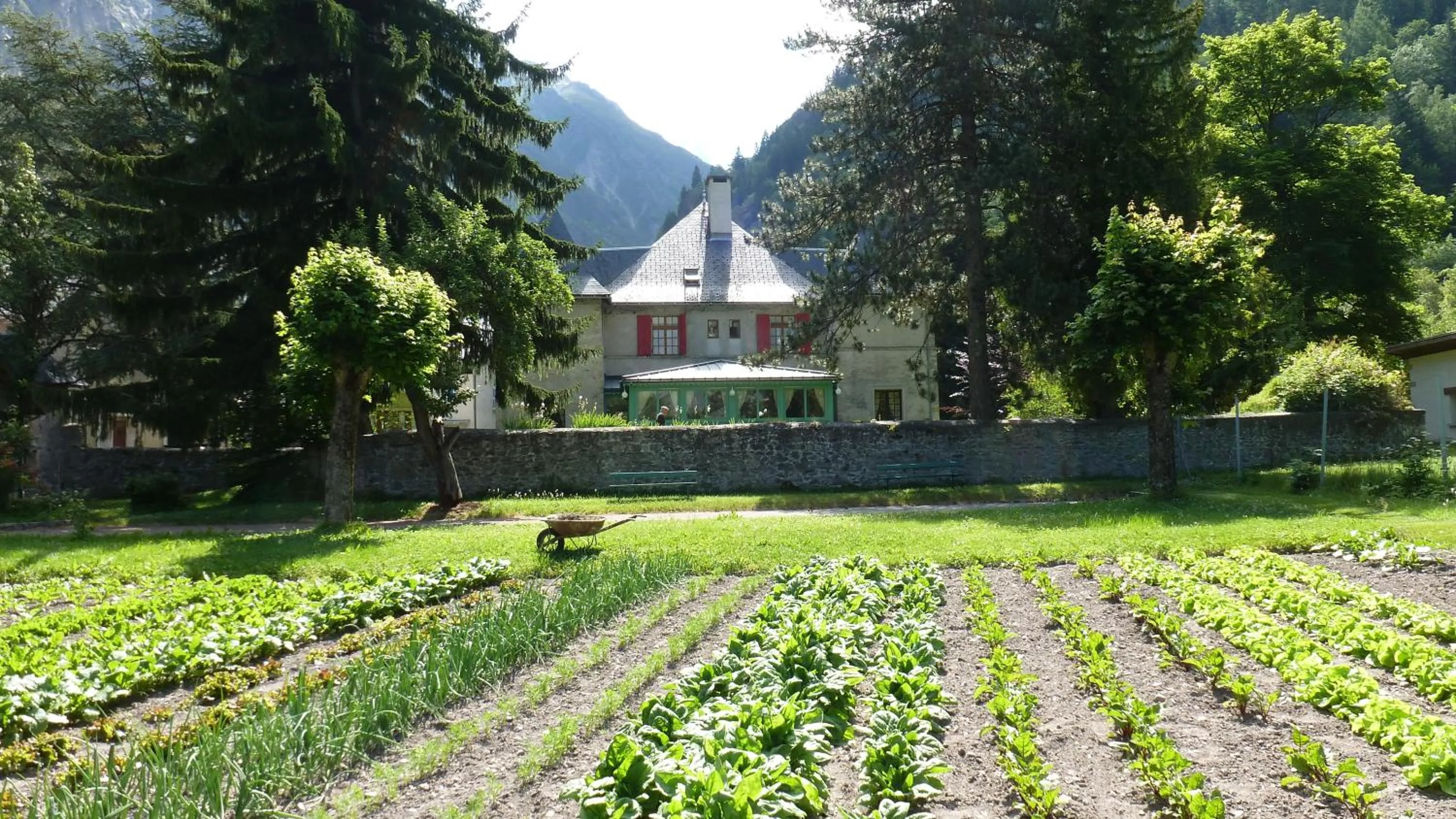 Garden in Chateau De La Muzelle