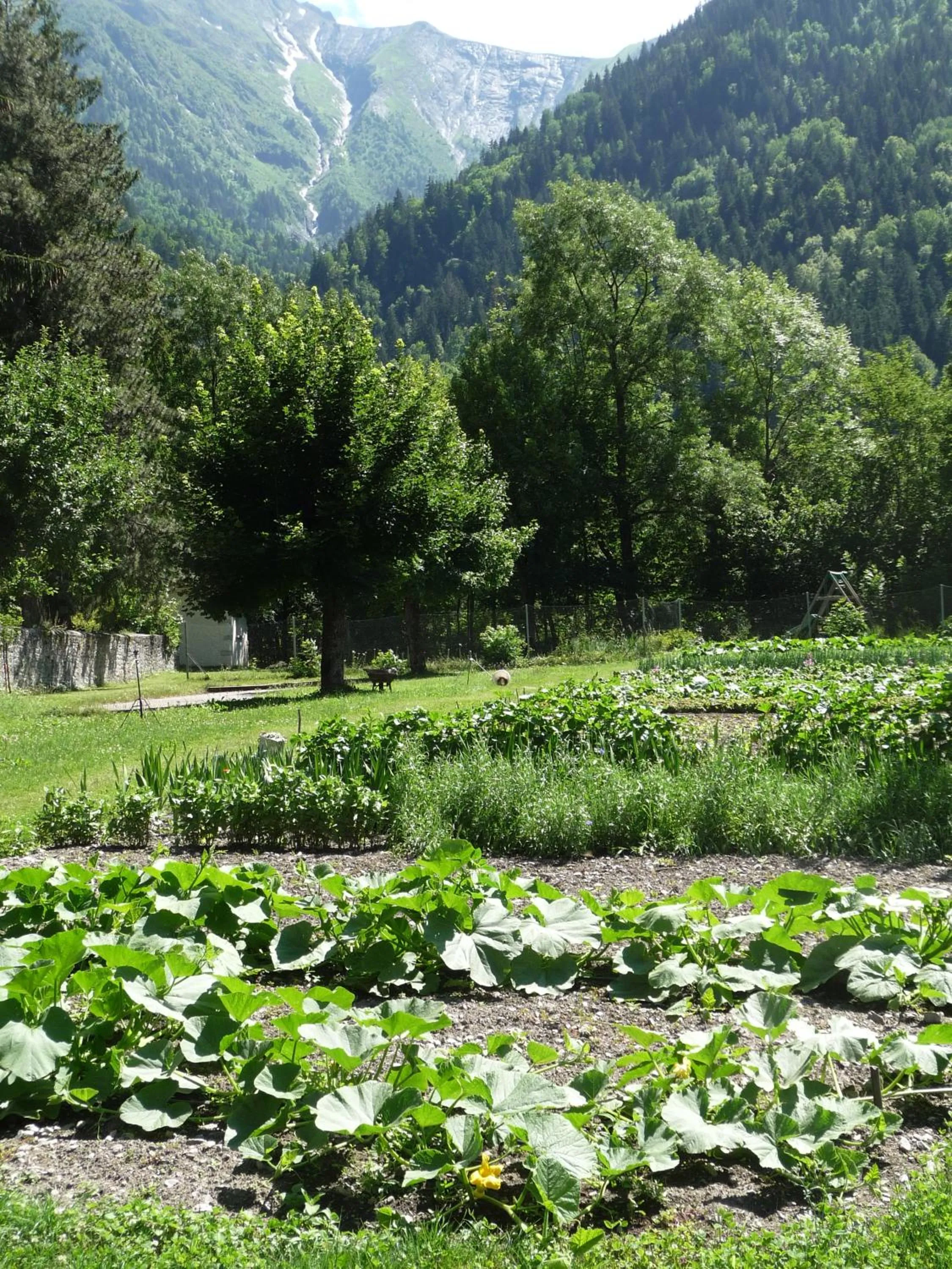 Garden in Chateau De La Muzelle