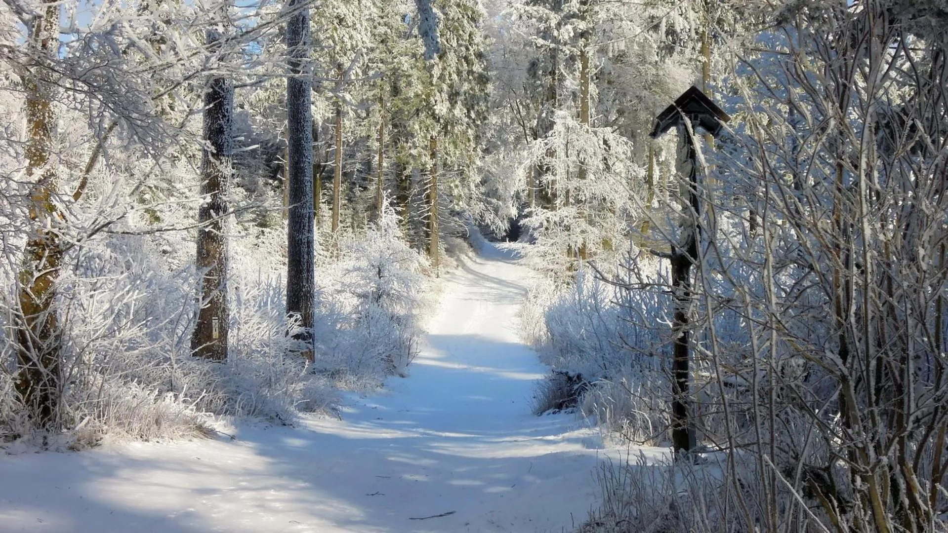 Natural landscape in Ferienwohnung Reifberg