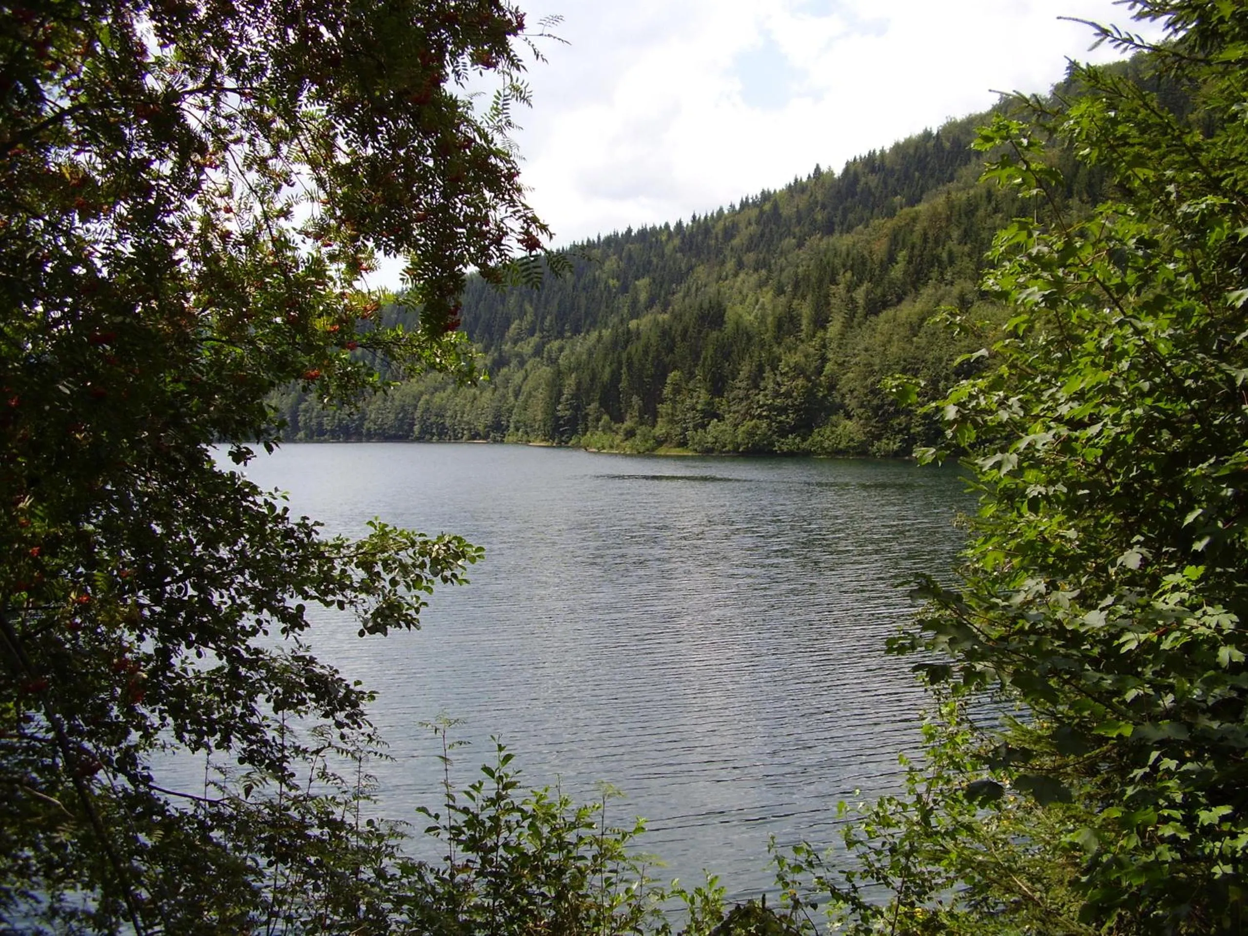 Natural landscape in Ferienwohnung Reifberg