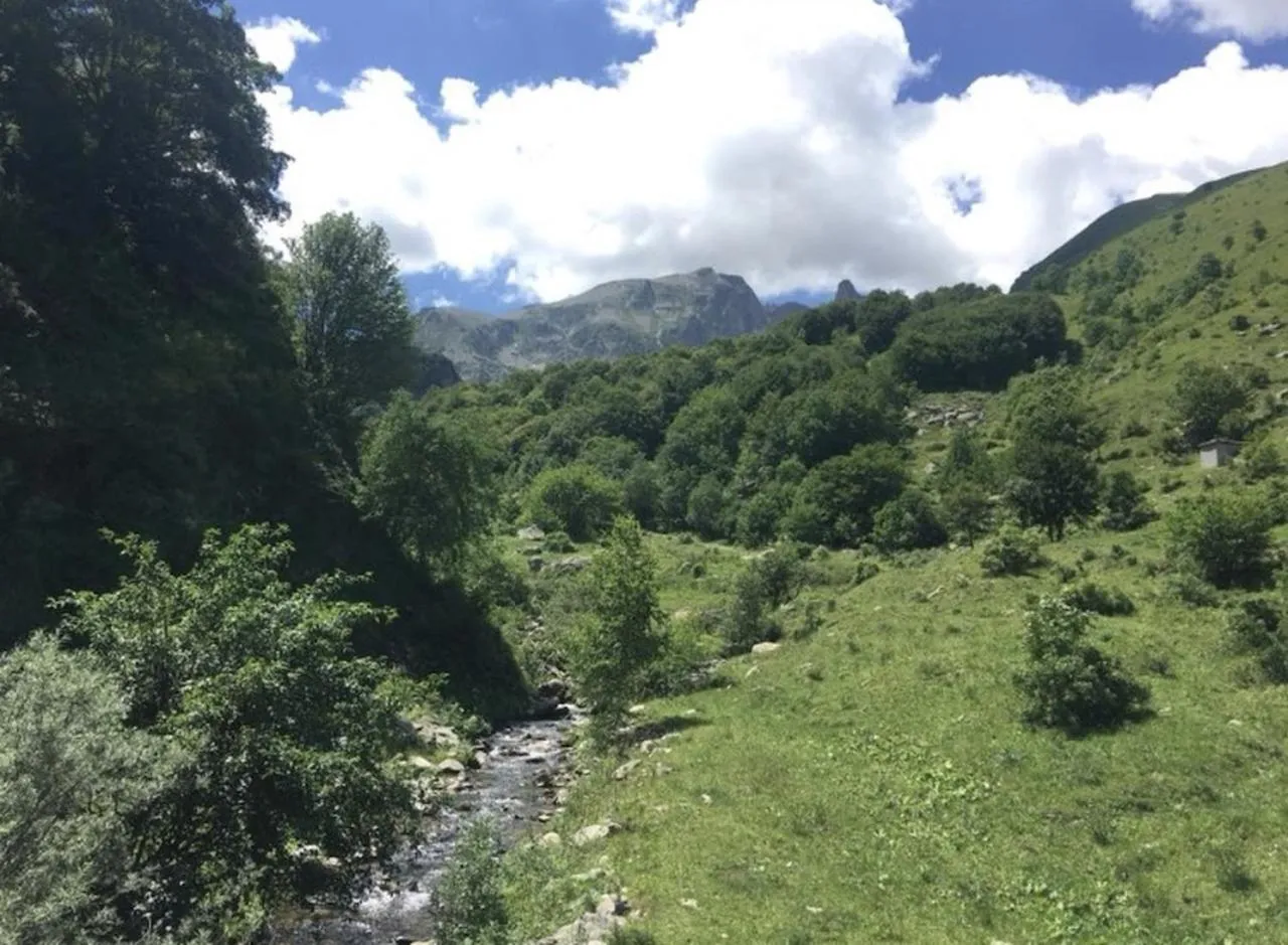 Natural landscape in Chalet Morel 1586 Hotel & Spa