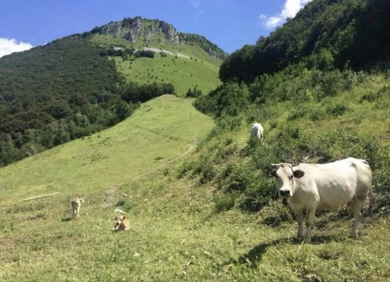 Hiking in Chalet Morel 1586 Hotel & Spa