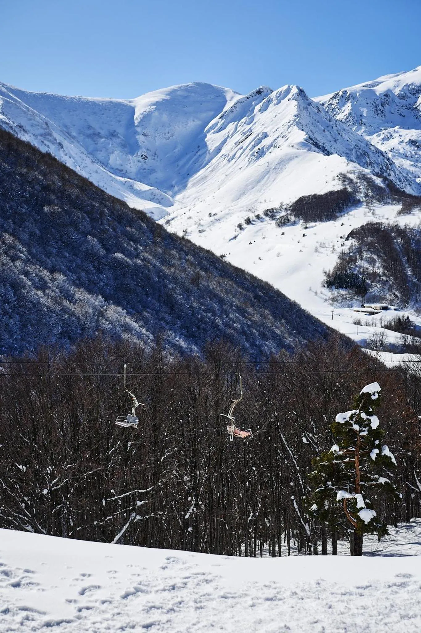 Chalet Morel 1586 Hotel & Spa