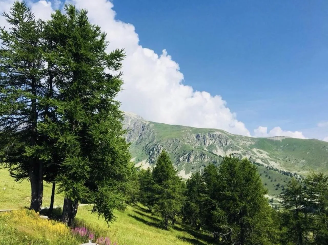 Natural landscape in Chalet Morel 1586 Hotel & Spa